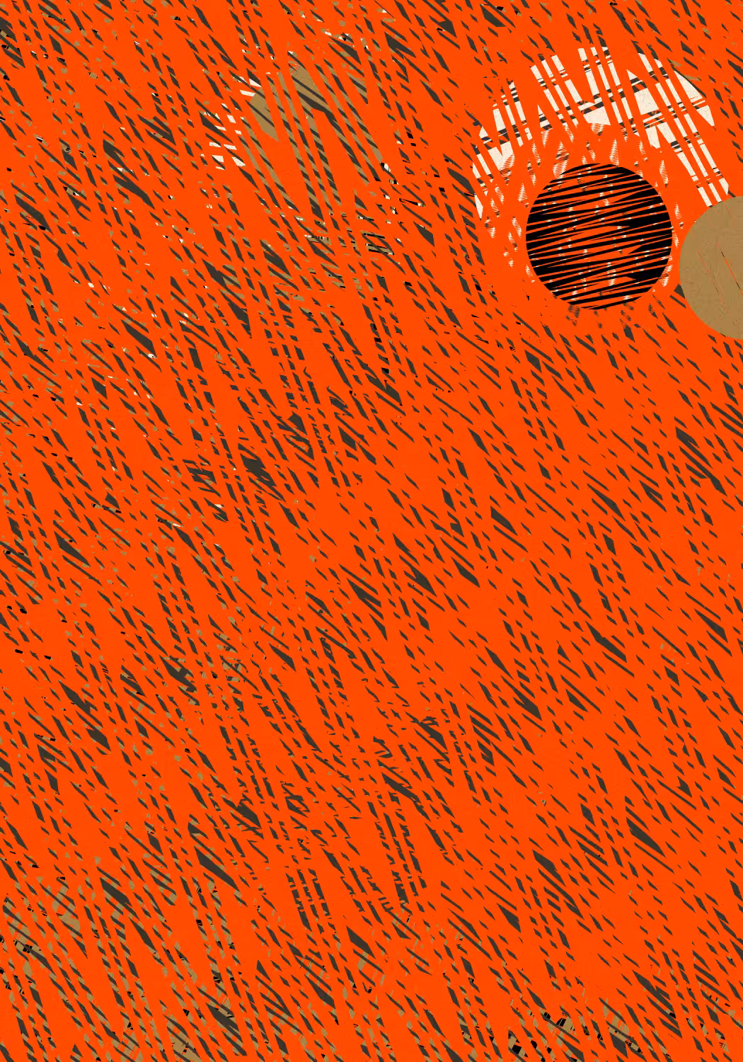HBDFXH01 #164