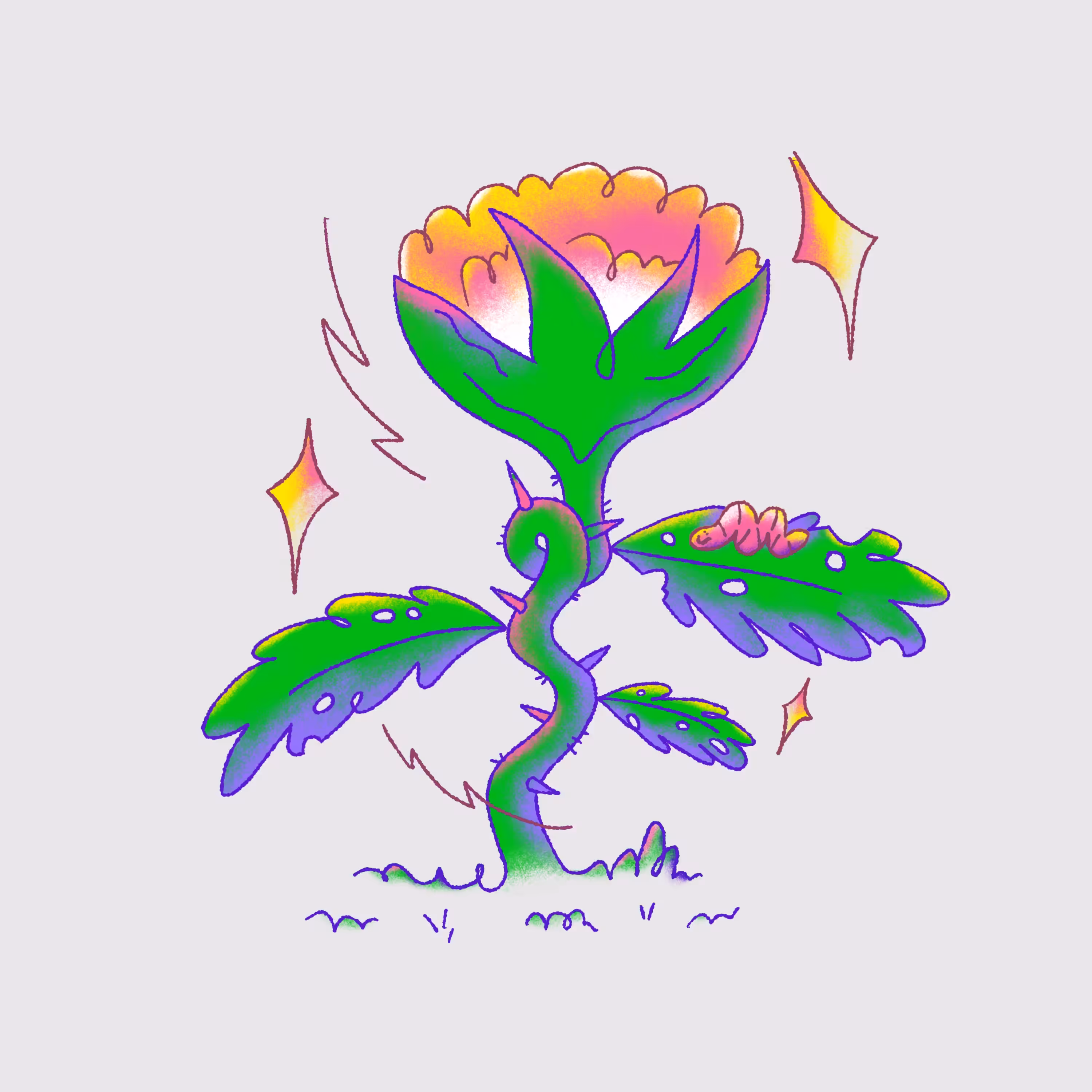 Forms of Nature 004