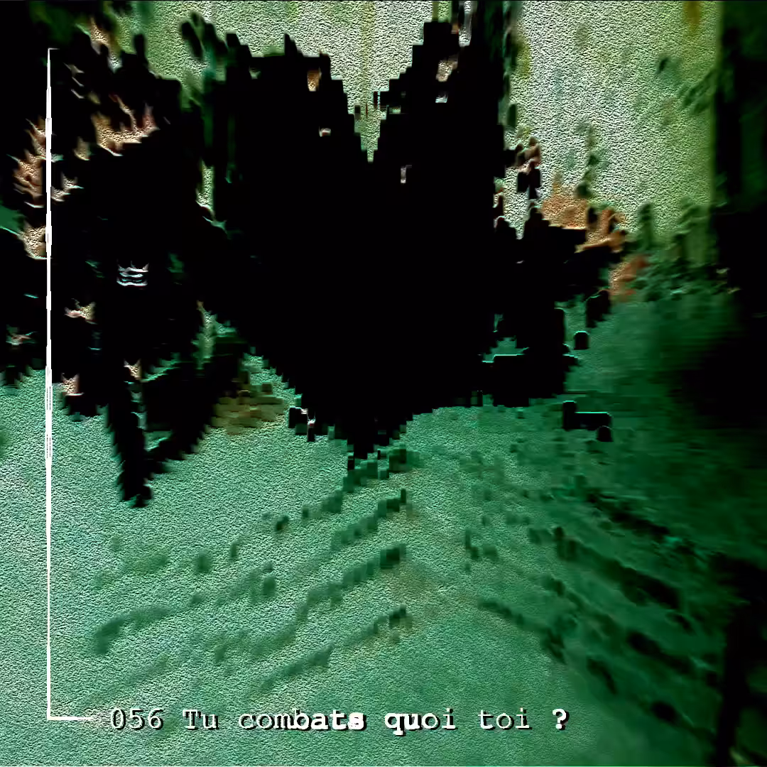 056 Tu combats toi ?