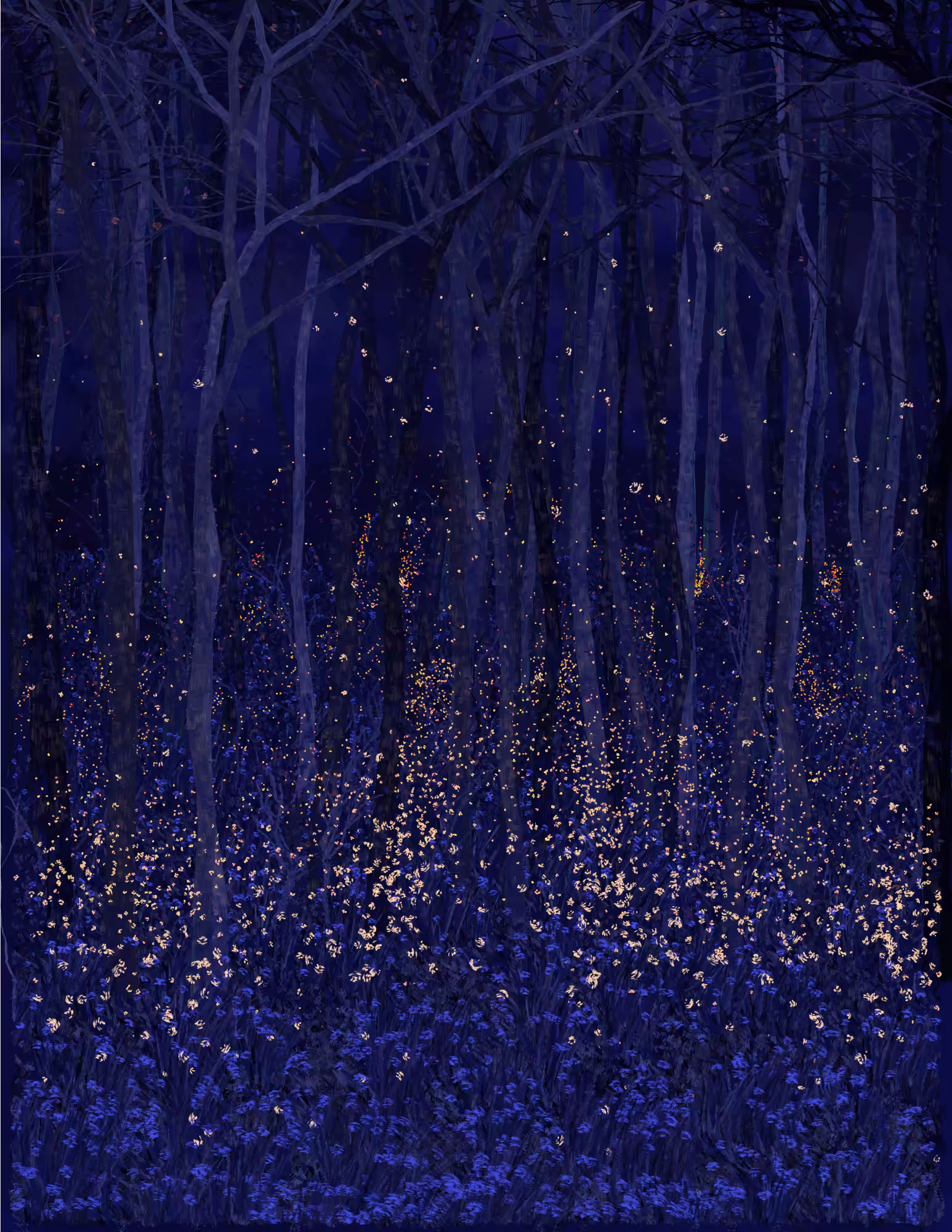 Deep Forest #170