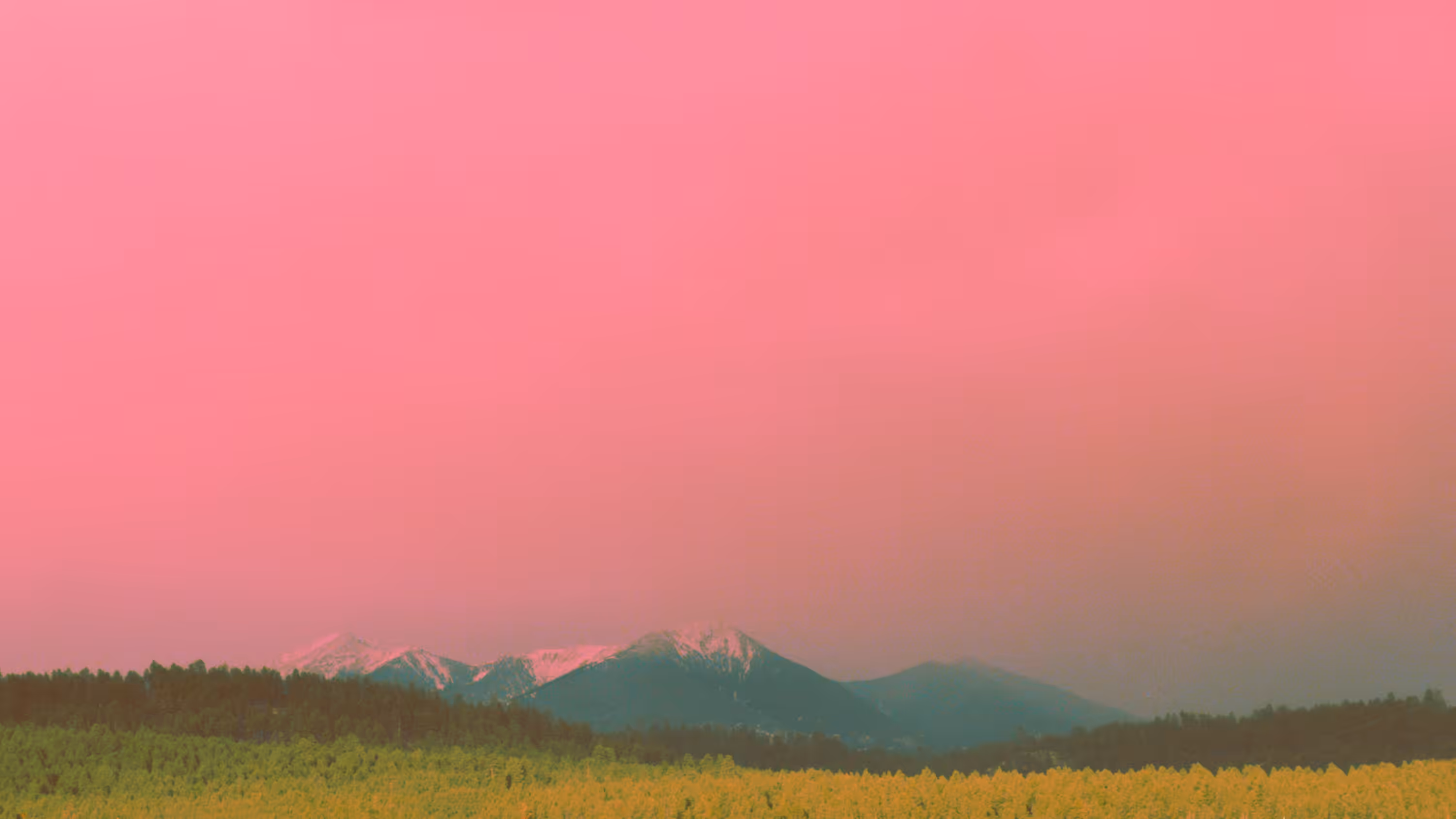 Strawberry Mt.