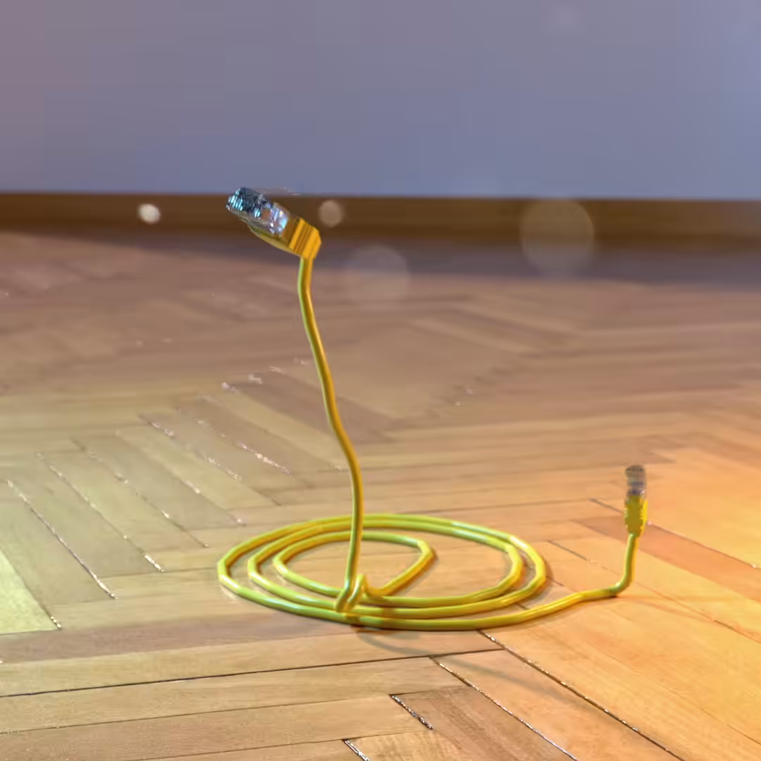 Ethernet Snake