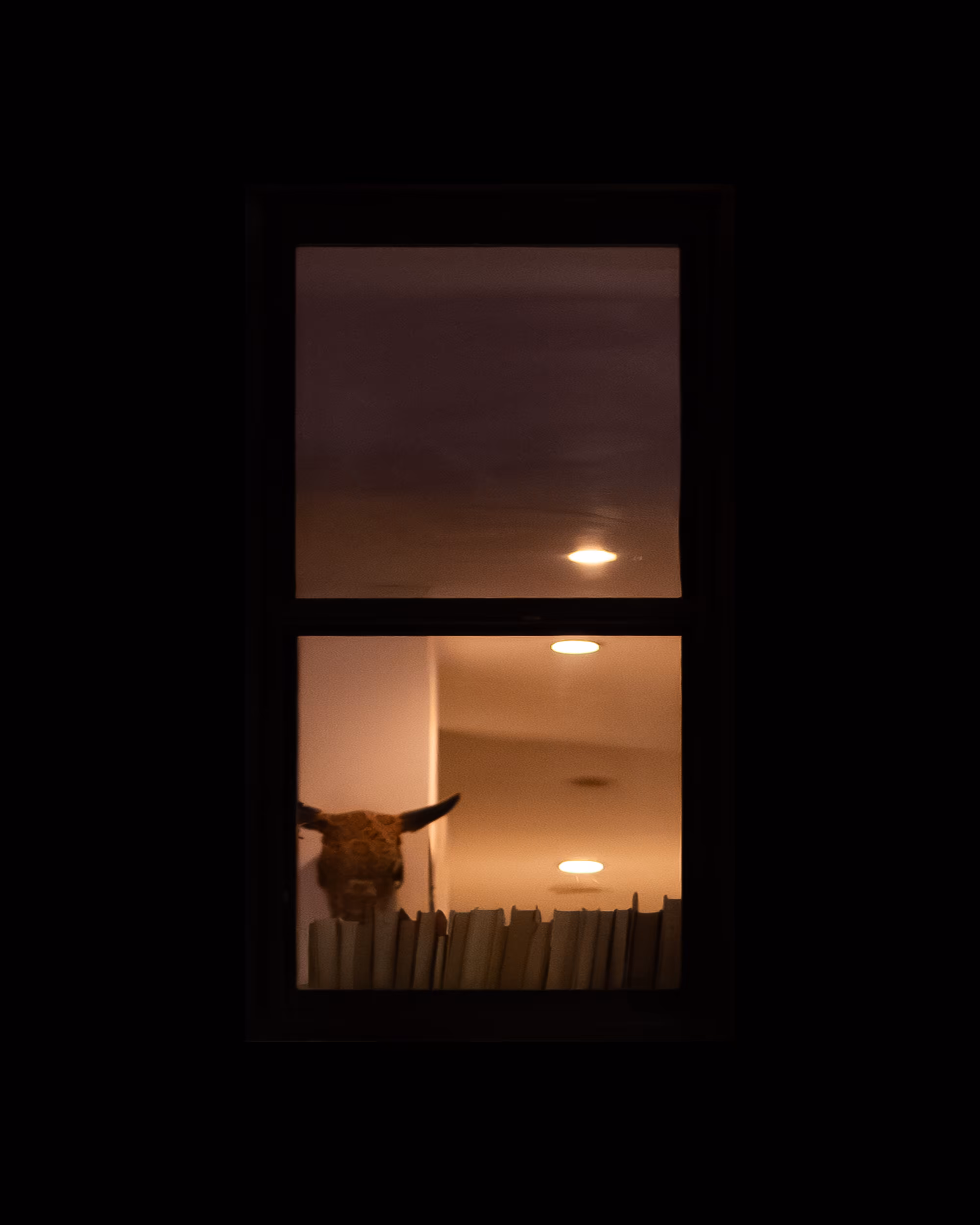 WINDOW 810