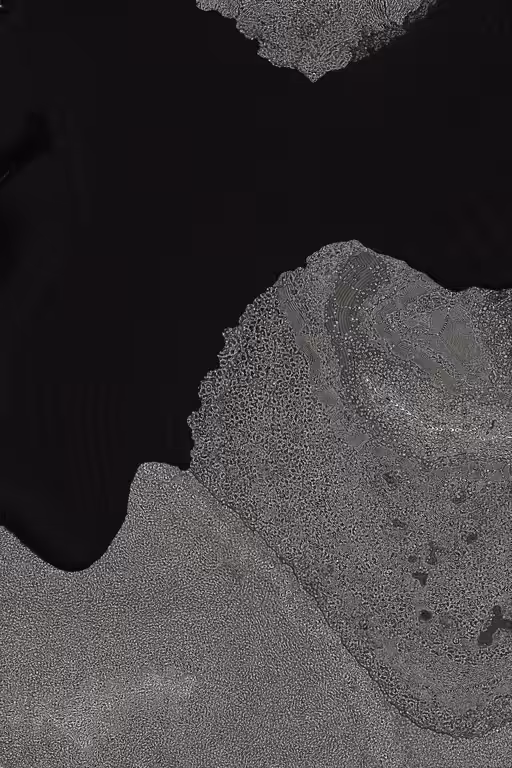 Dactylogram #45