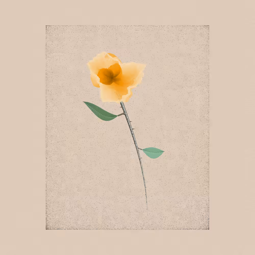 Magnolia #30