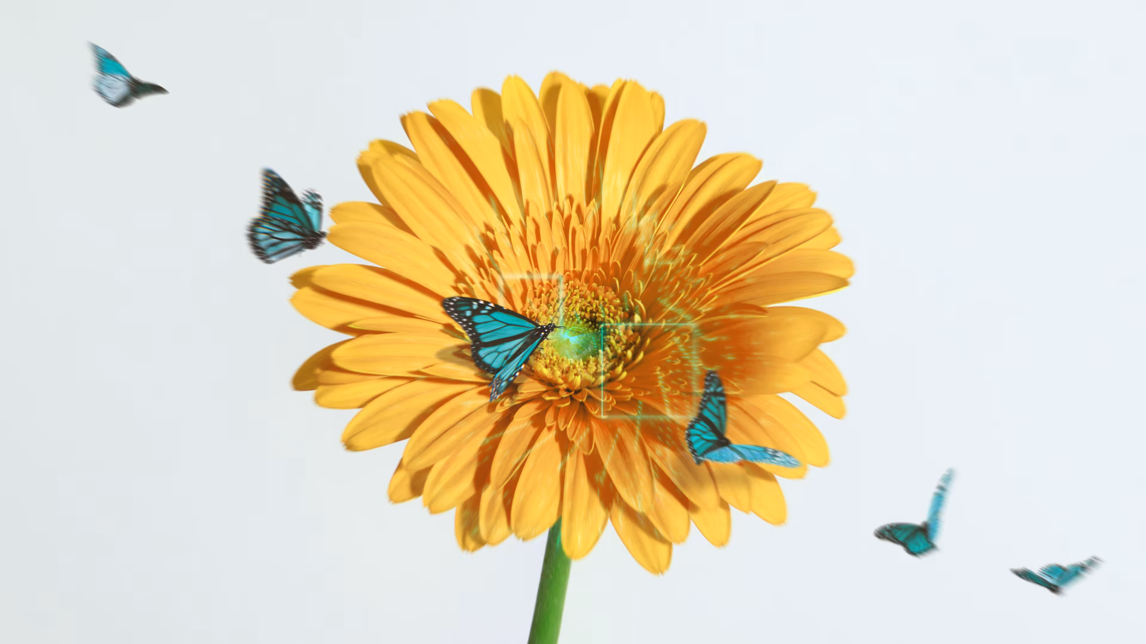Interactions in Bloom