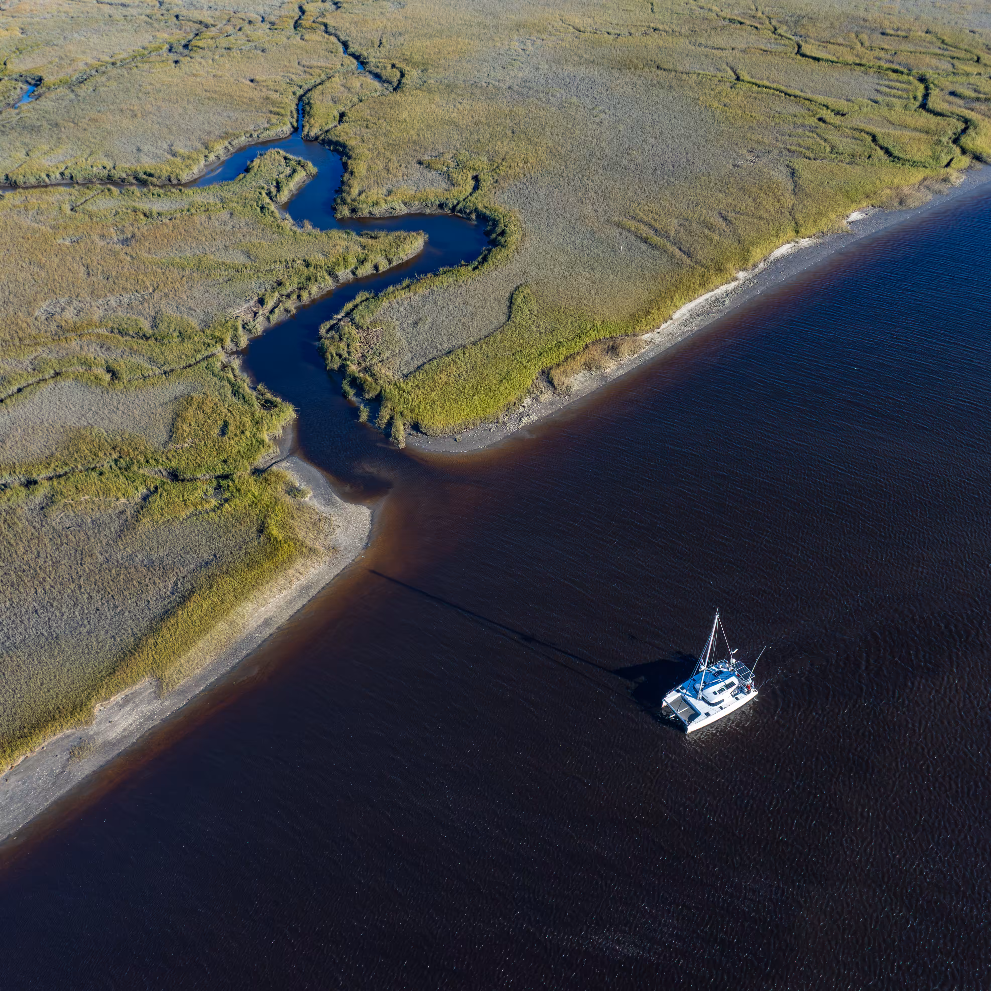 Lowcountry