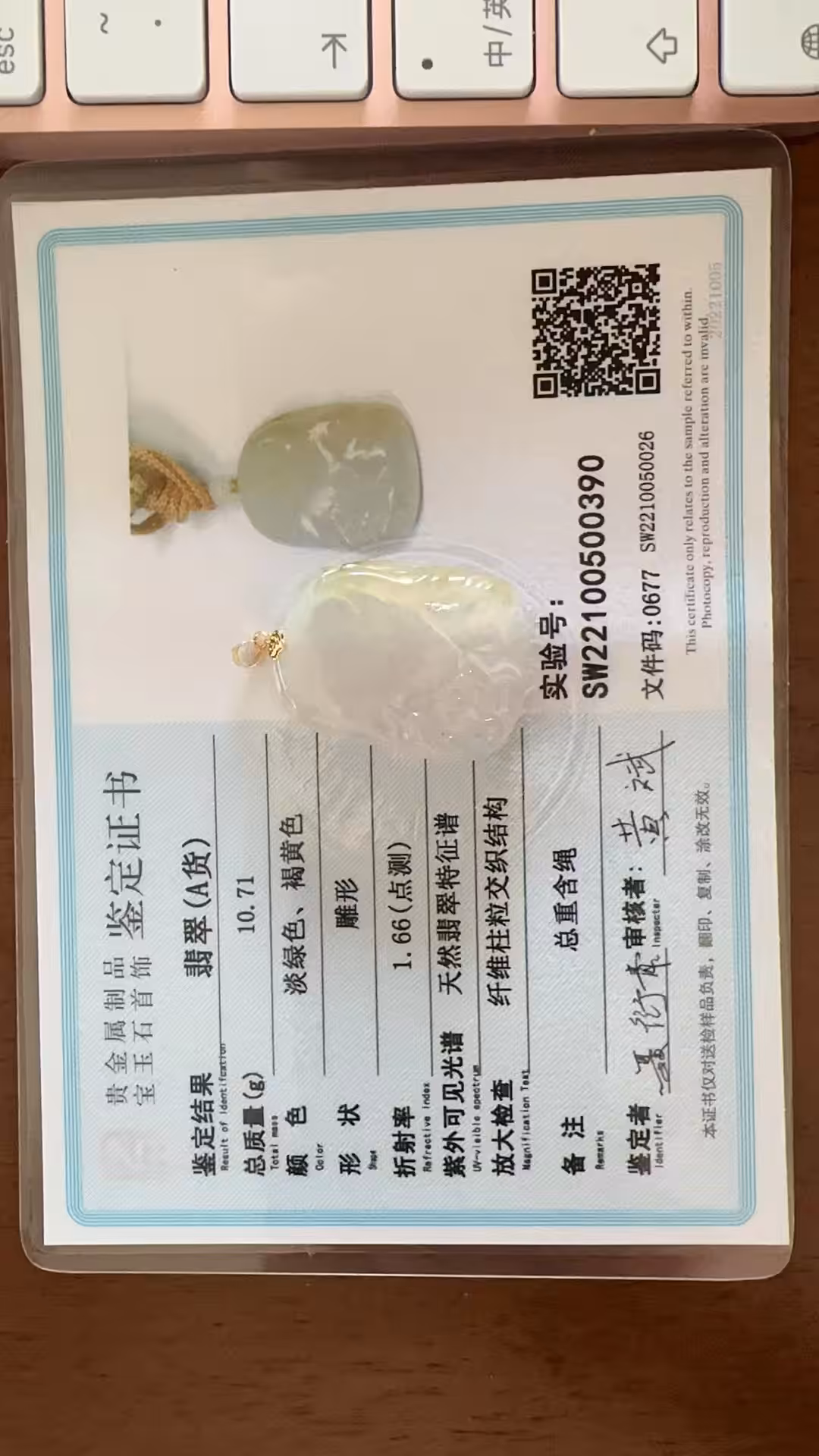 荷花映日