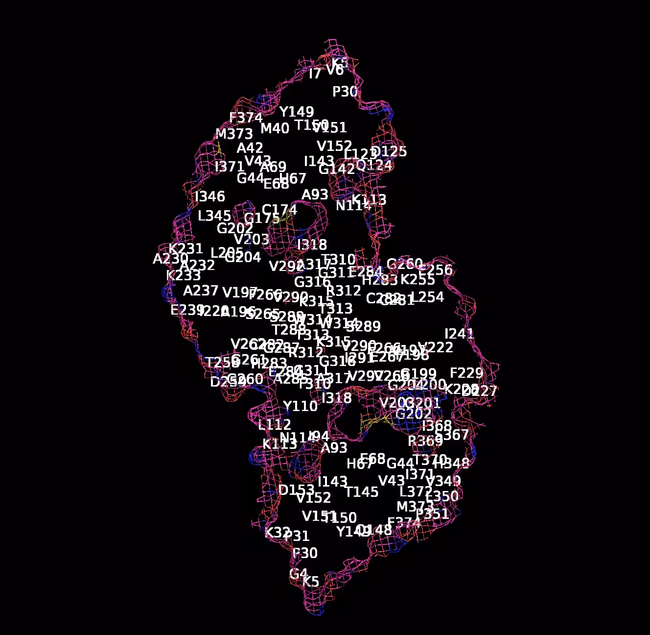 Alcohol Dehydrogenase – ADH1A glitch