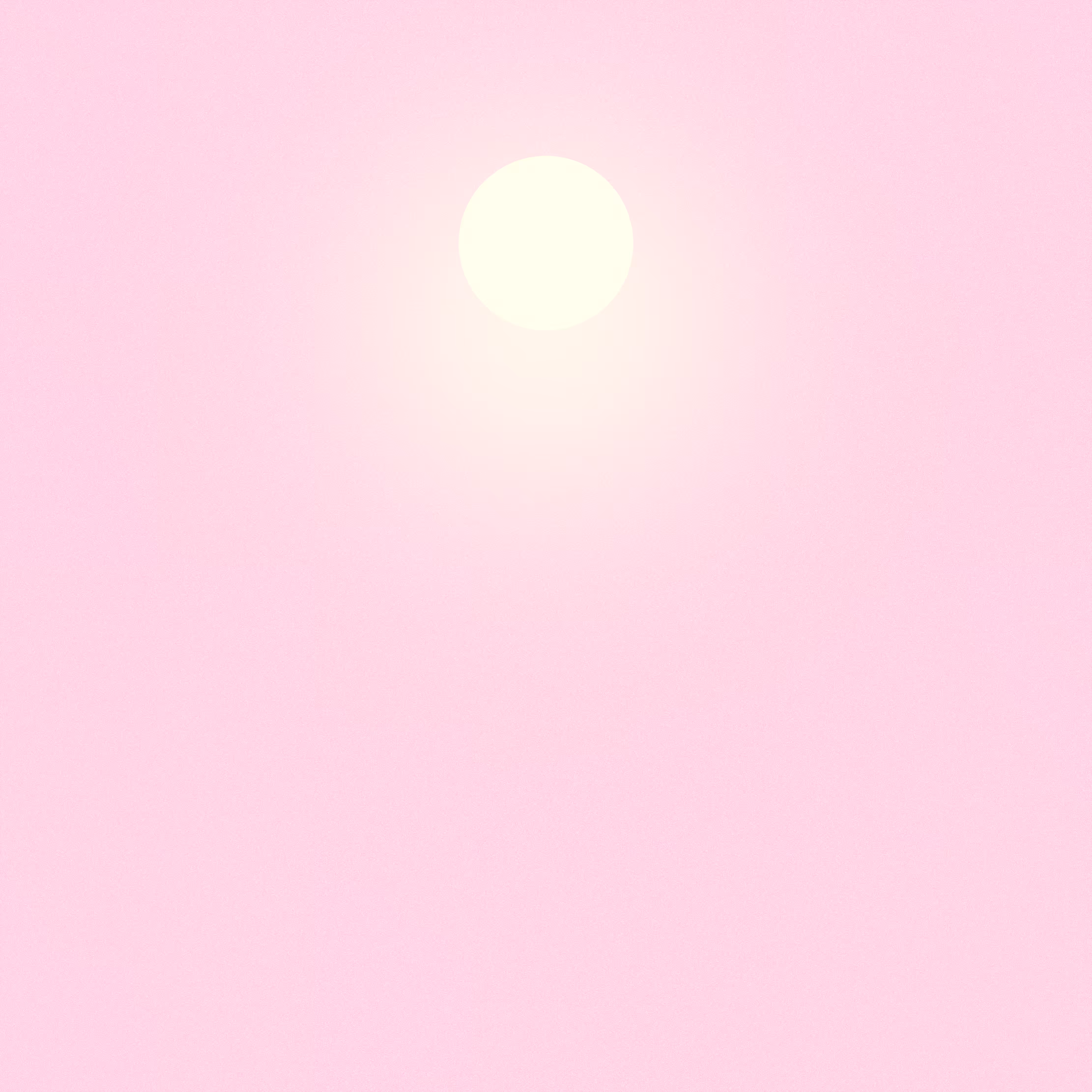 with the light 26