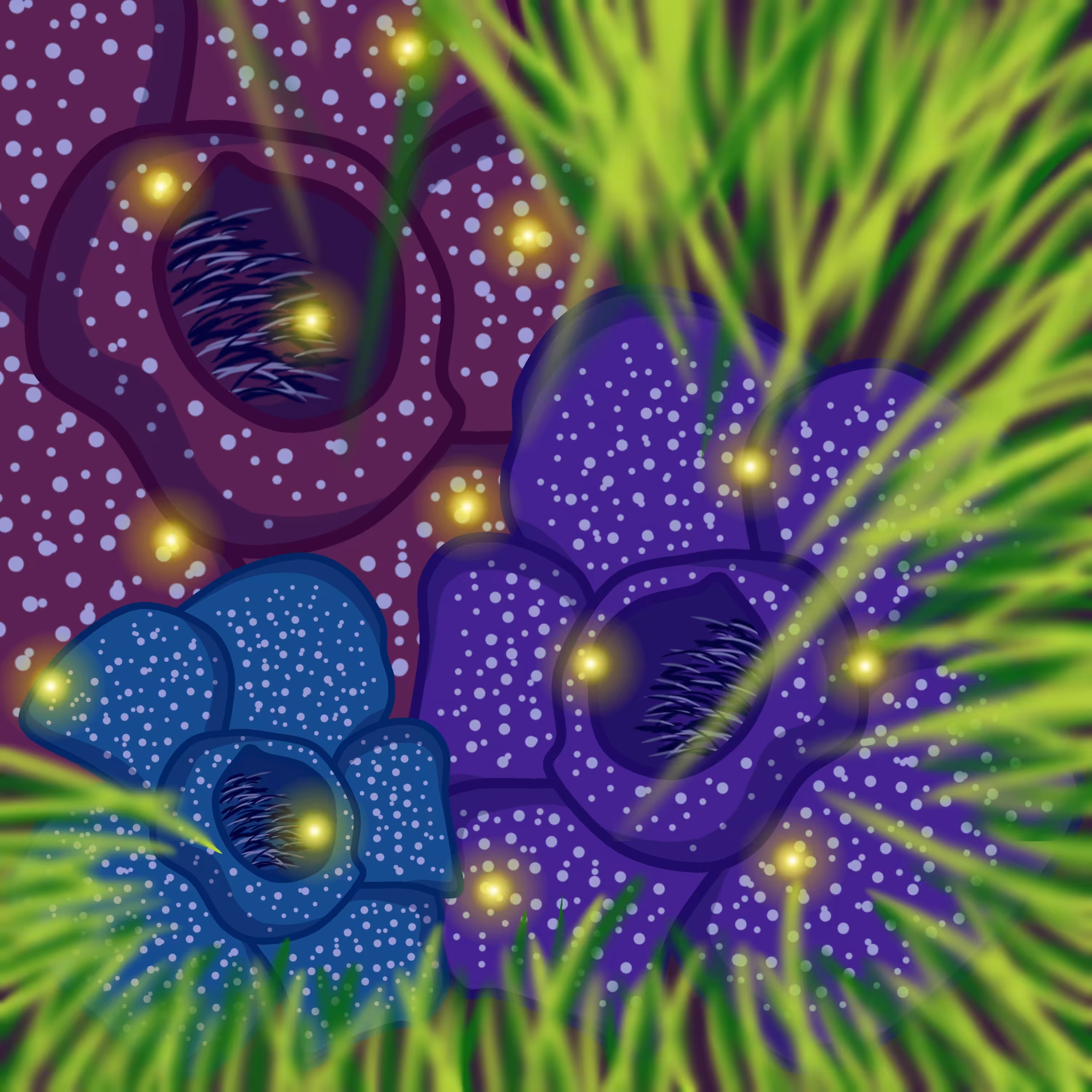 Night Rafflesia