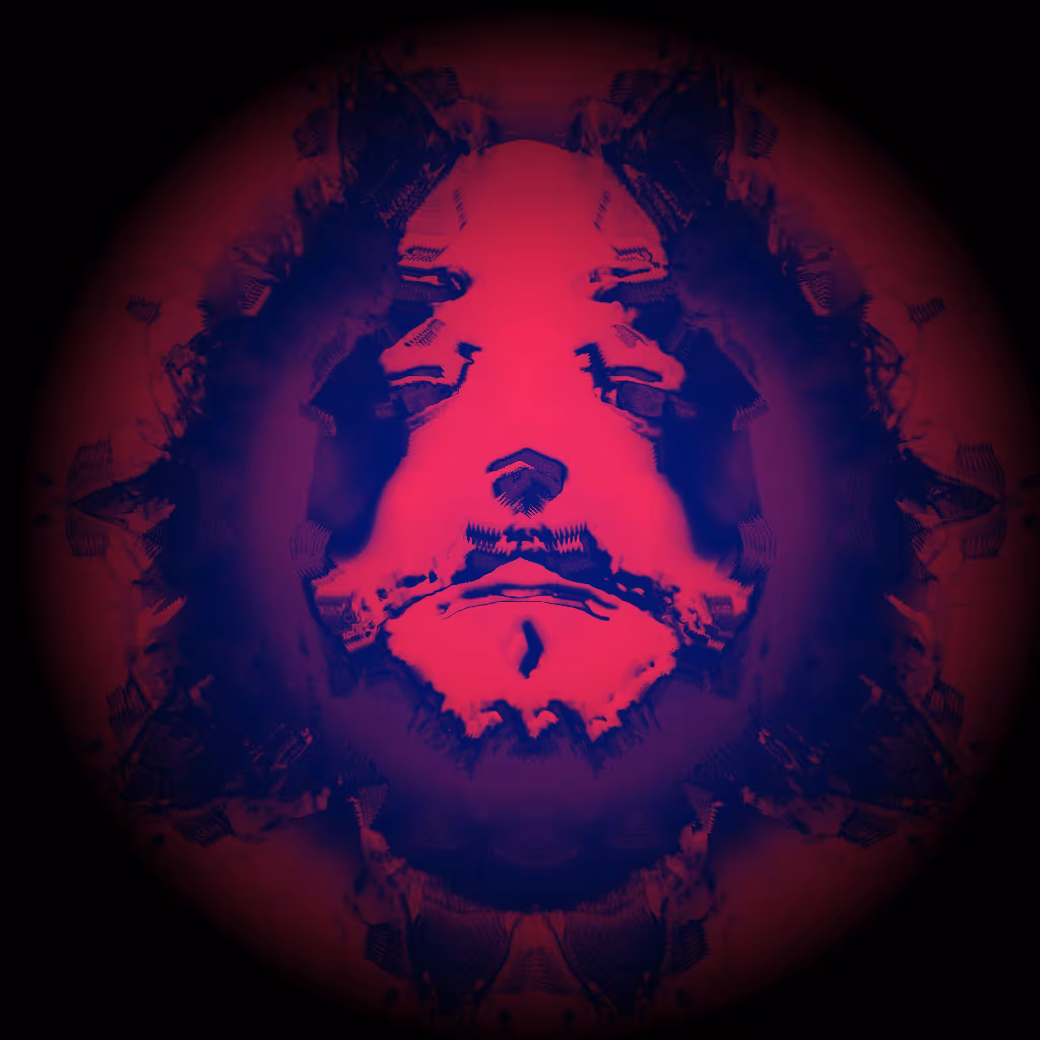 Burning Face N°1  , Face [Tag] Collection