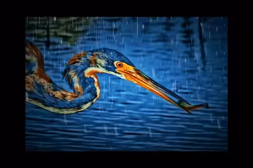Heron's Fish