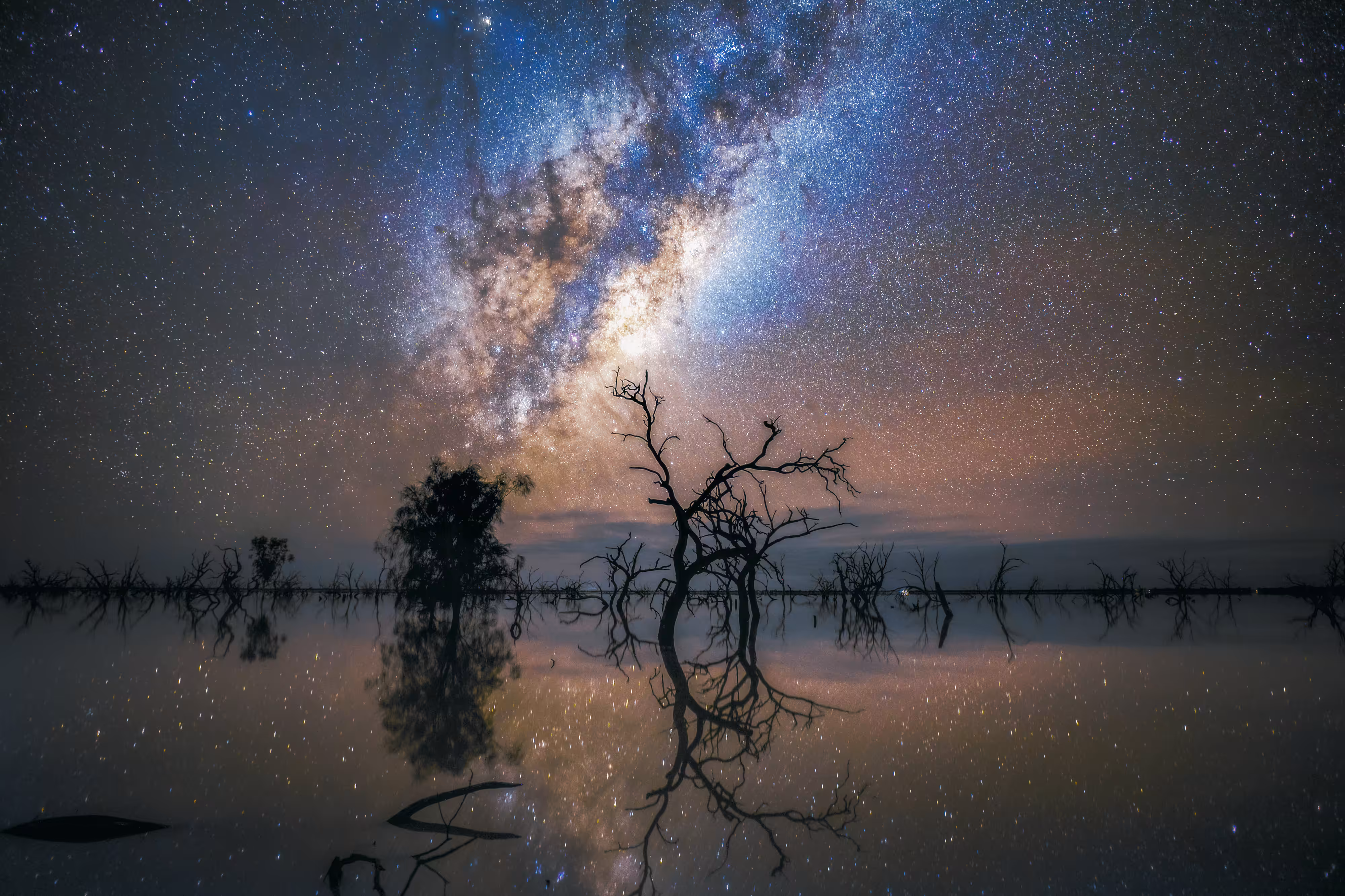 A Cluster of Stars: Reflection