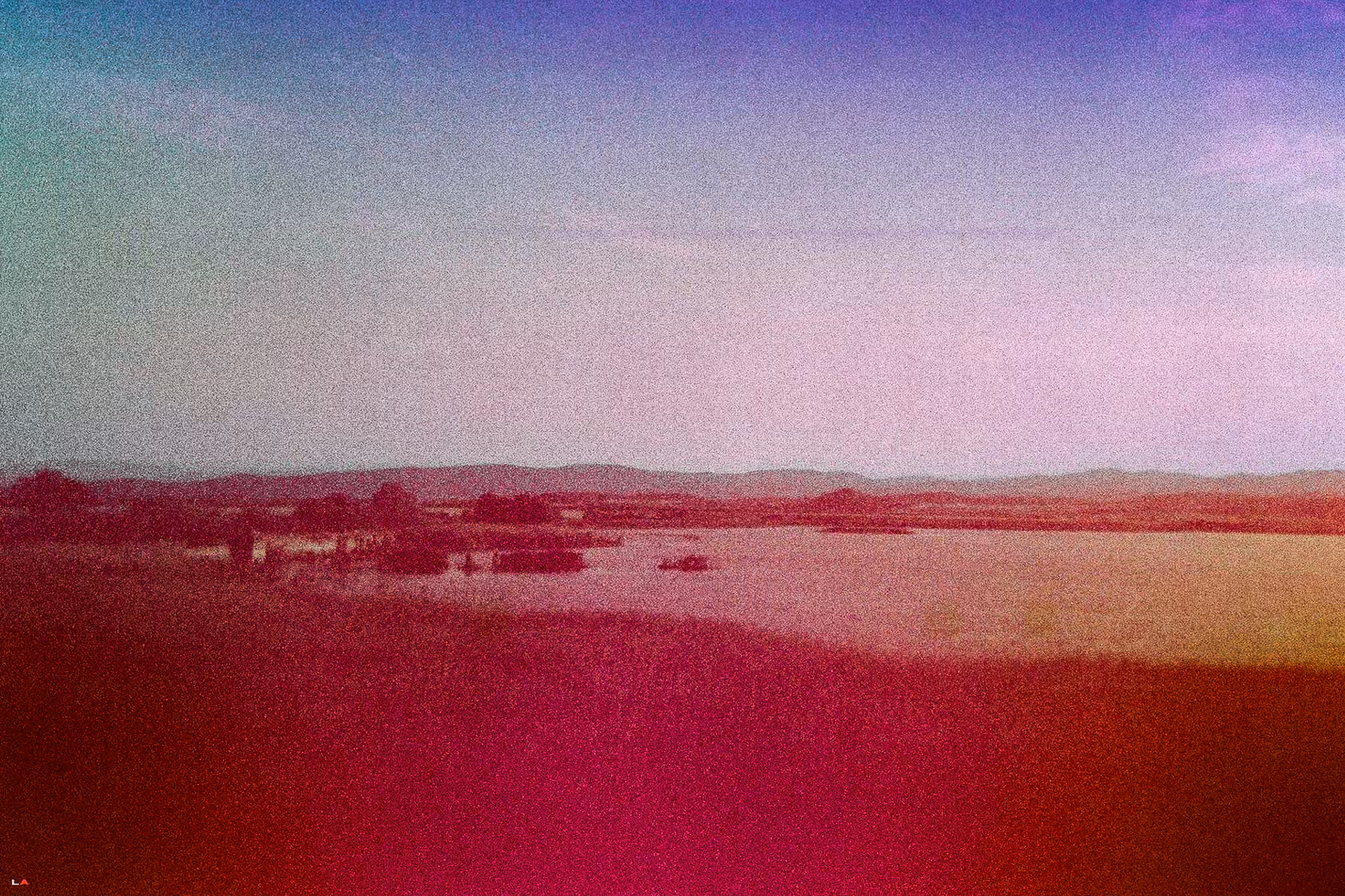 velvet morning