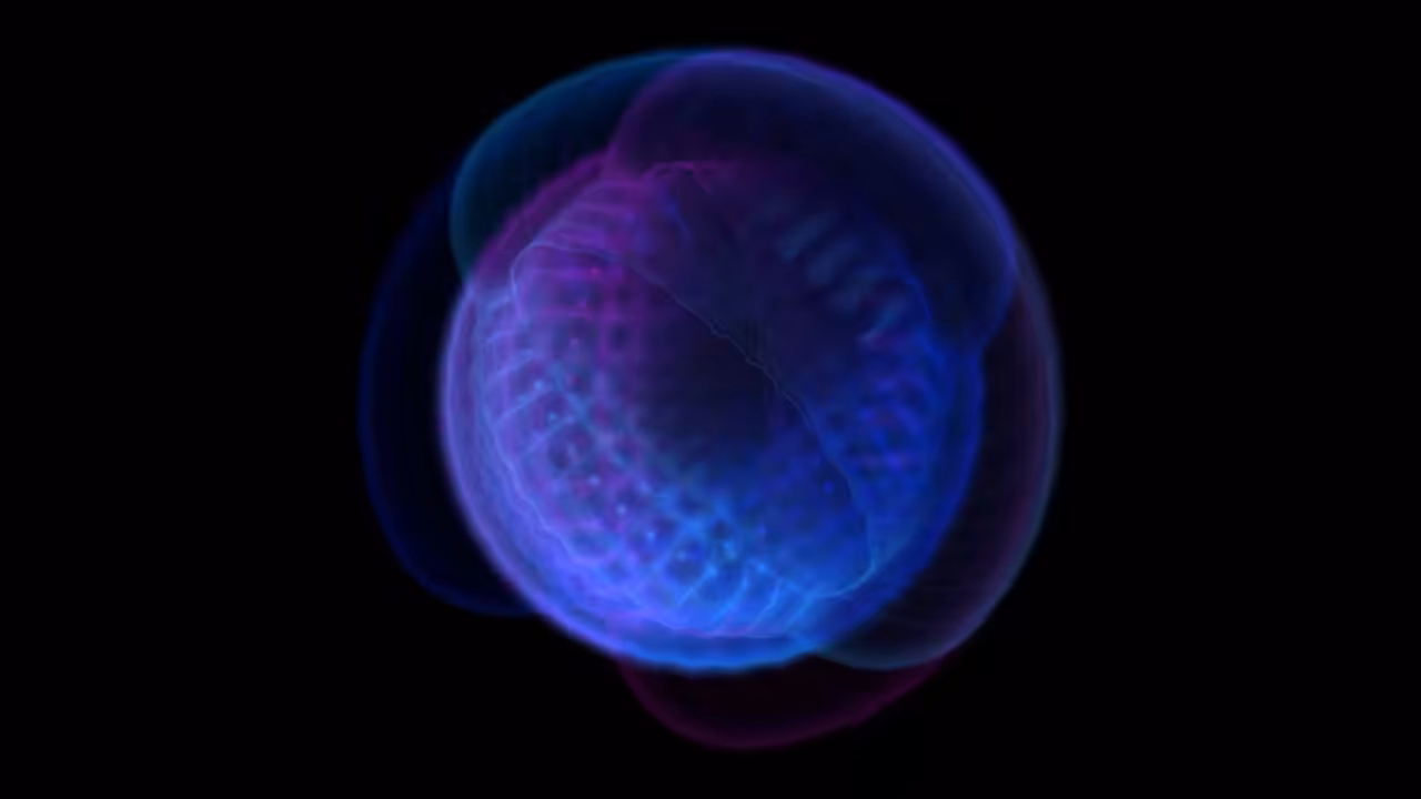 Blob Colony 