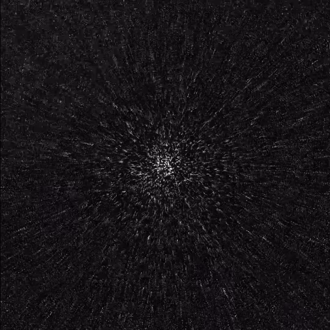 Microorganism