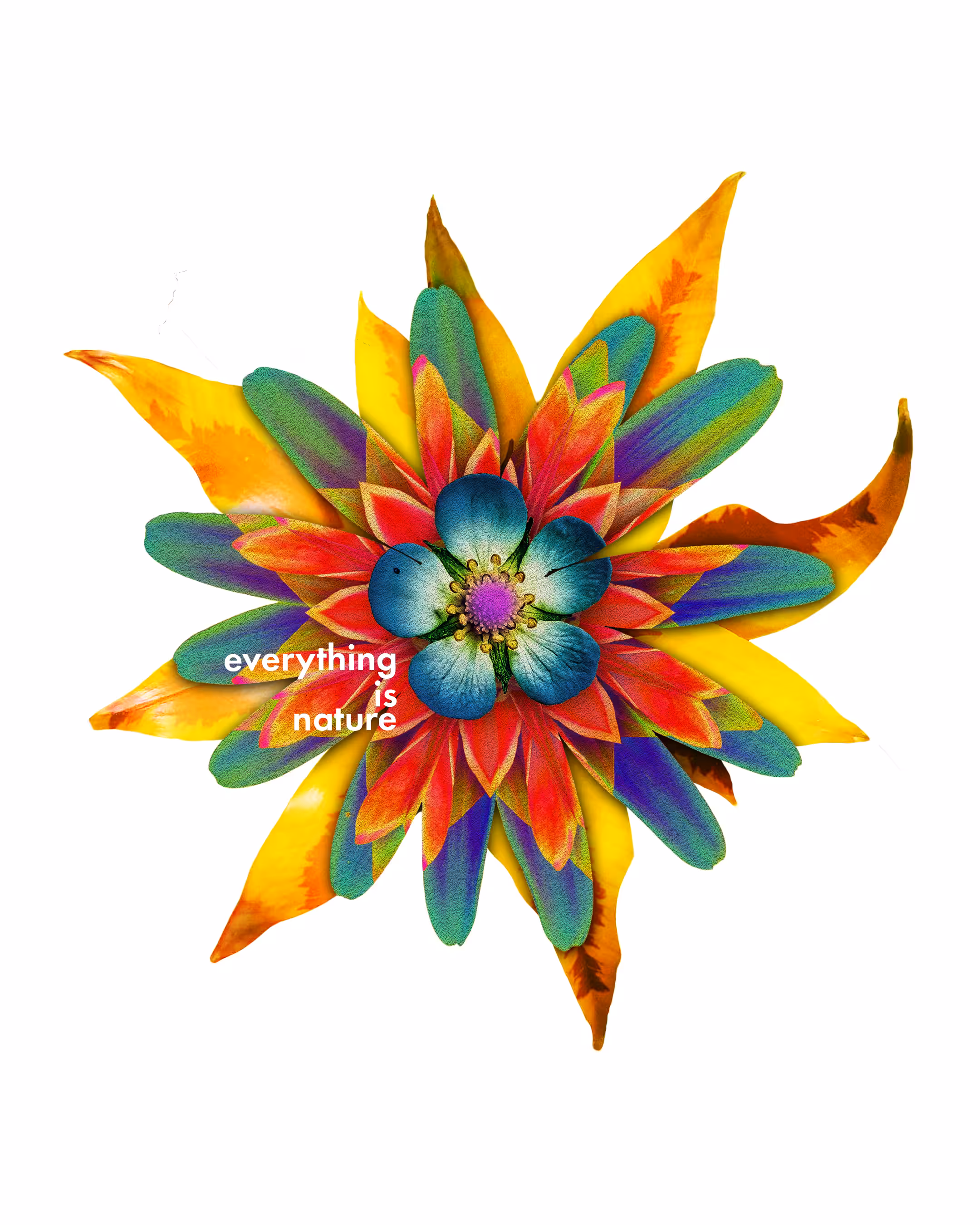Primary Nature 034