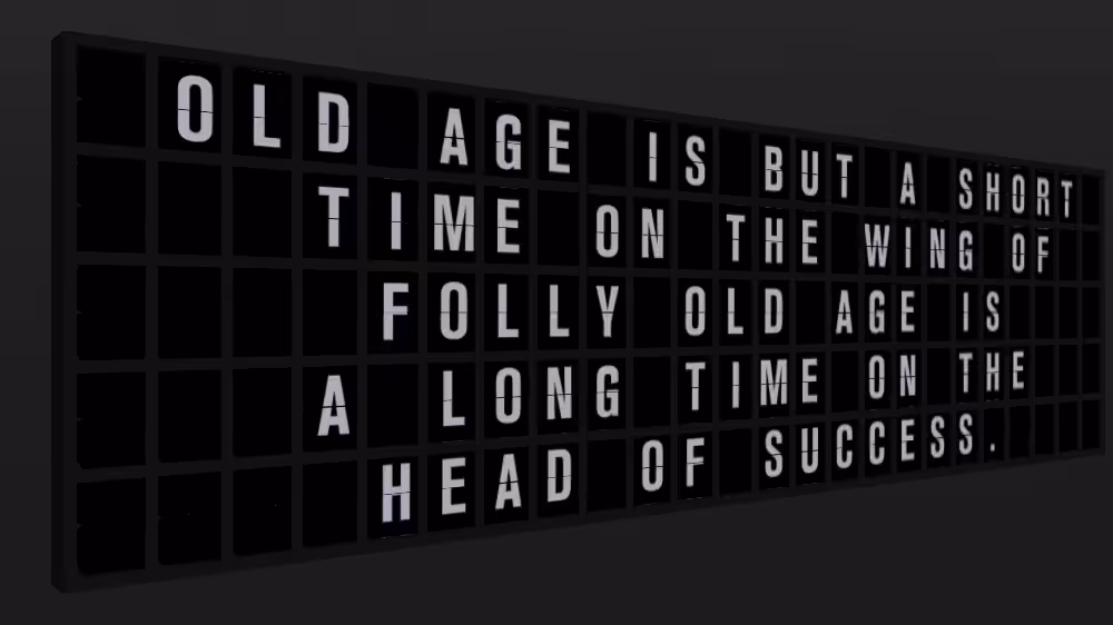 Appropriate Response: OLD AGE IS BUT A SHORT TIME ON THE WING OF FOLLY OLD AGE IS A LONG TIME ON THE HEAD OF SUCCESS.