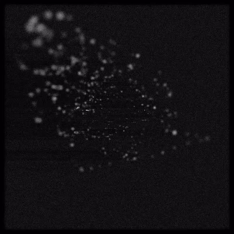 Rays & Dust #33