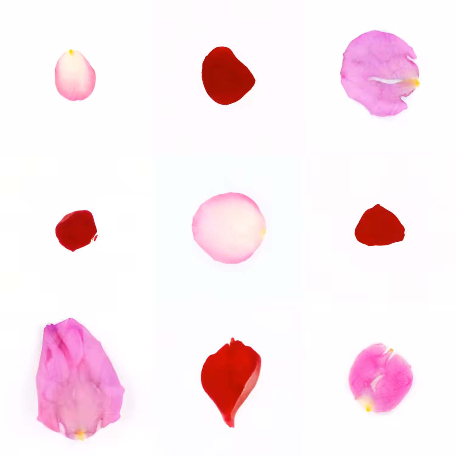 Infinite Petals 3x3#3432