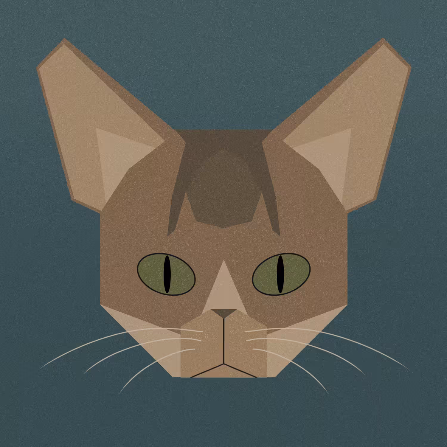 kitty #8 - abyssinian