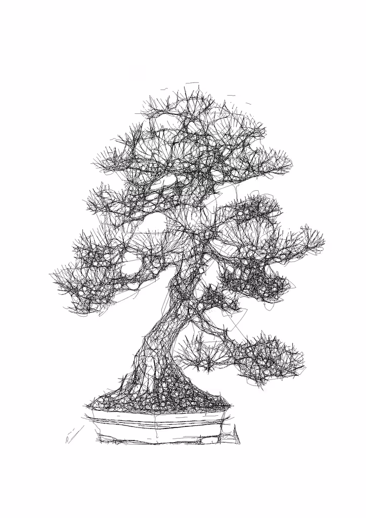 Bonsai pine tree I