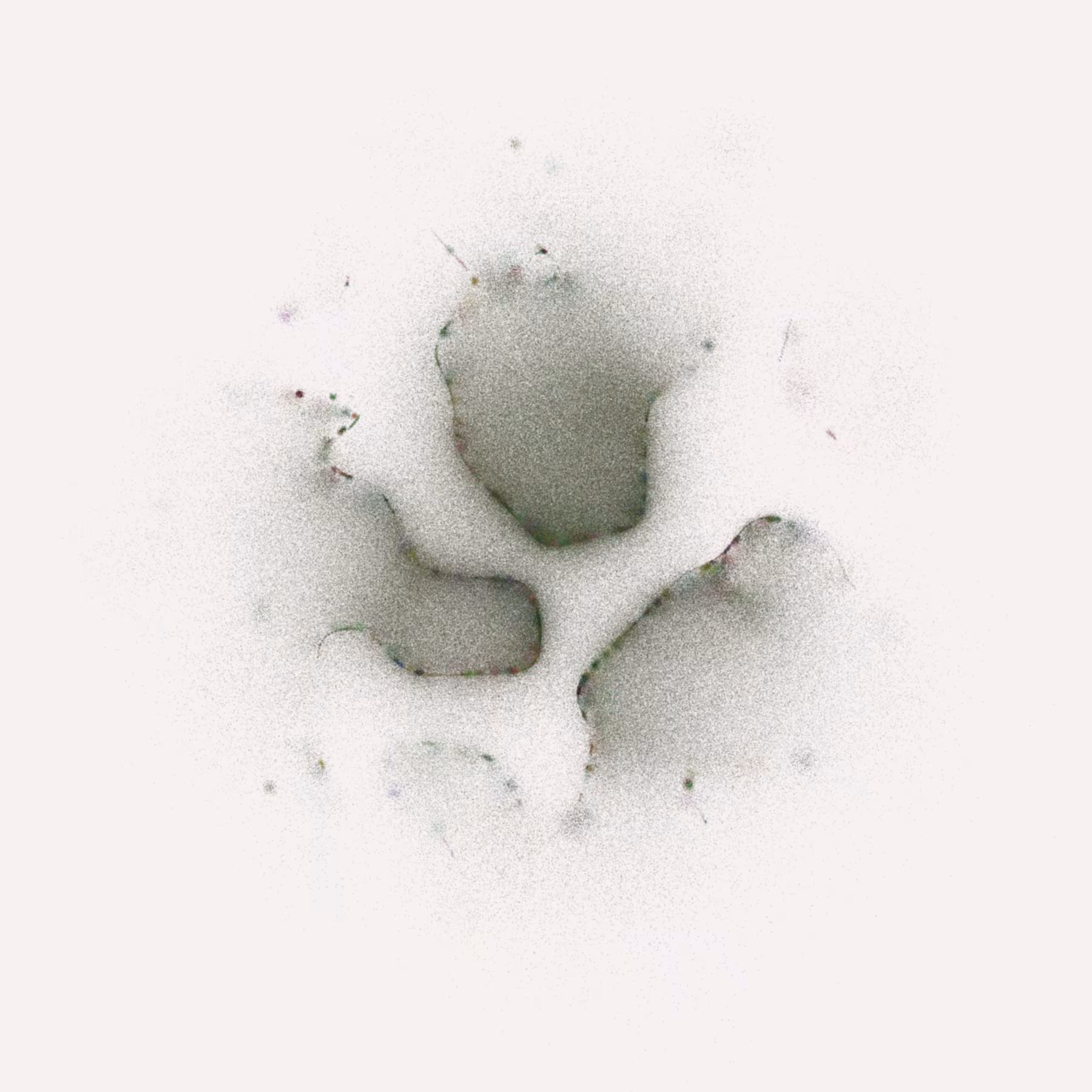 Membrane #4