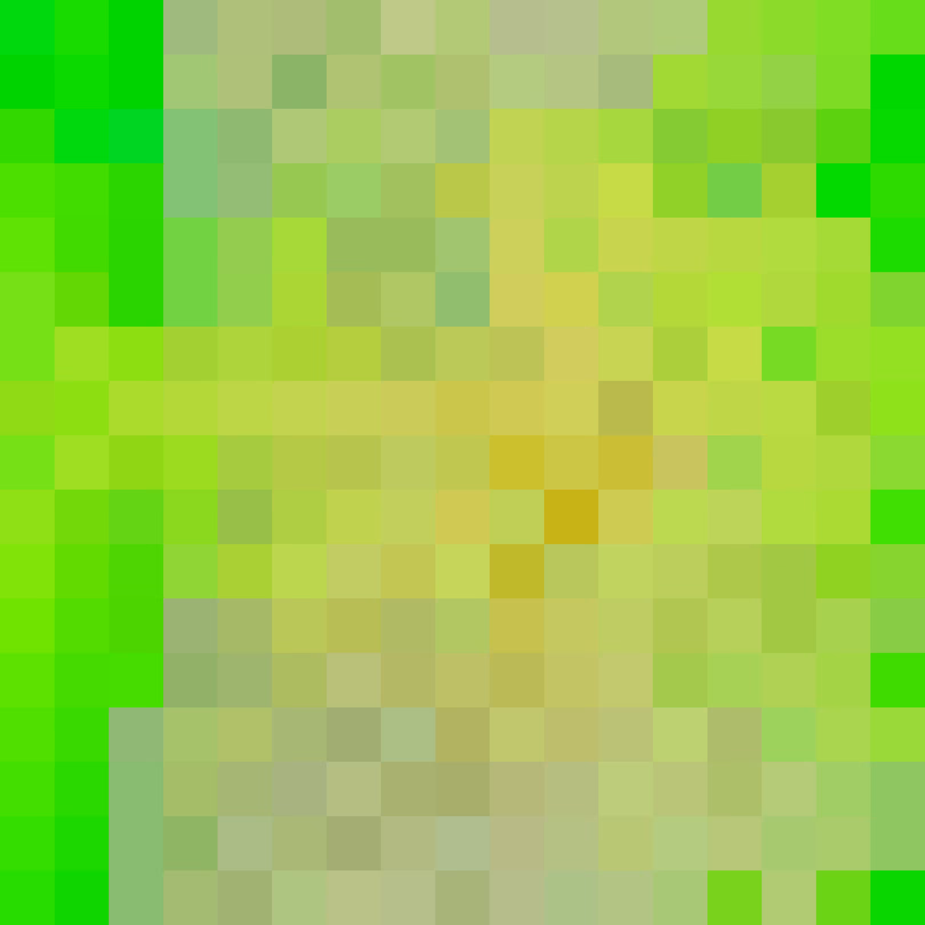 Entropy Locked Wave Function Collapse #113