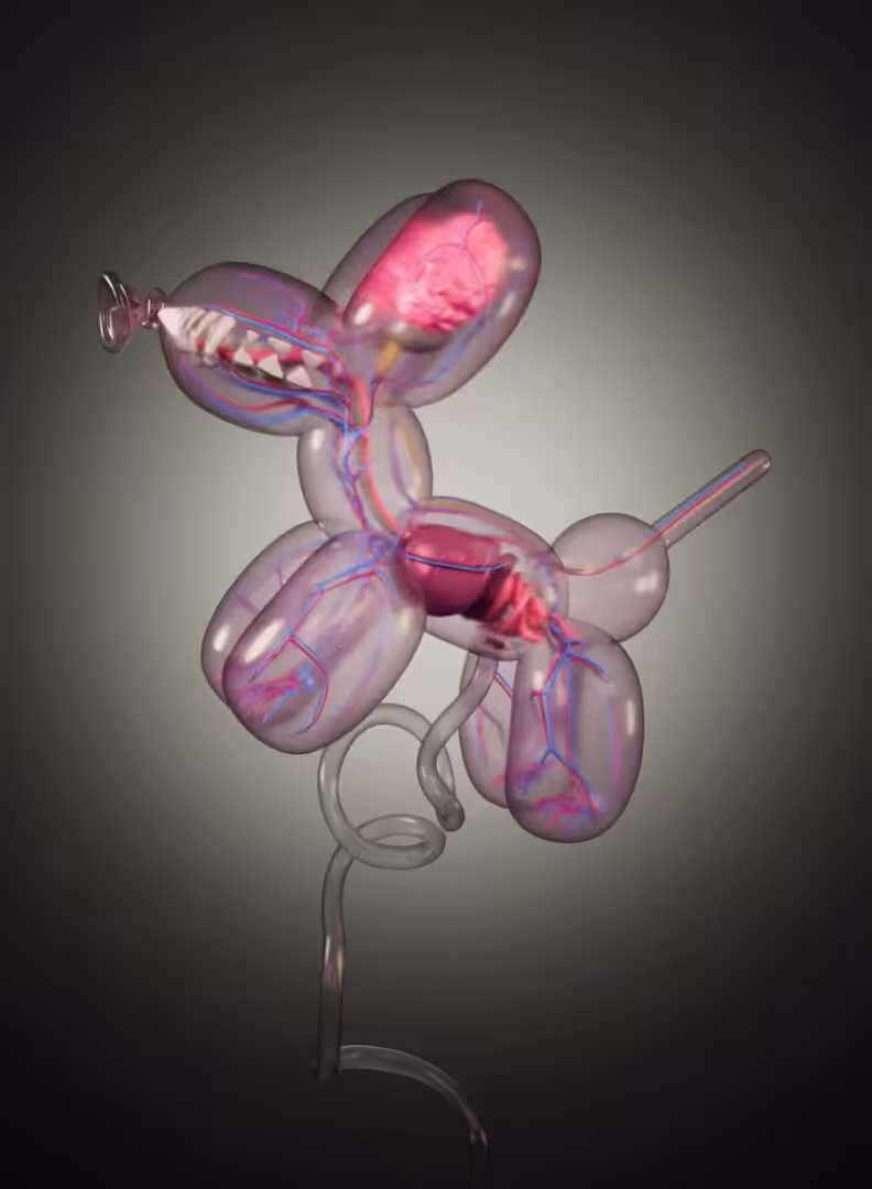 Balloon Dog Fetus (OG)