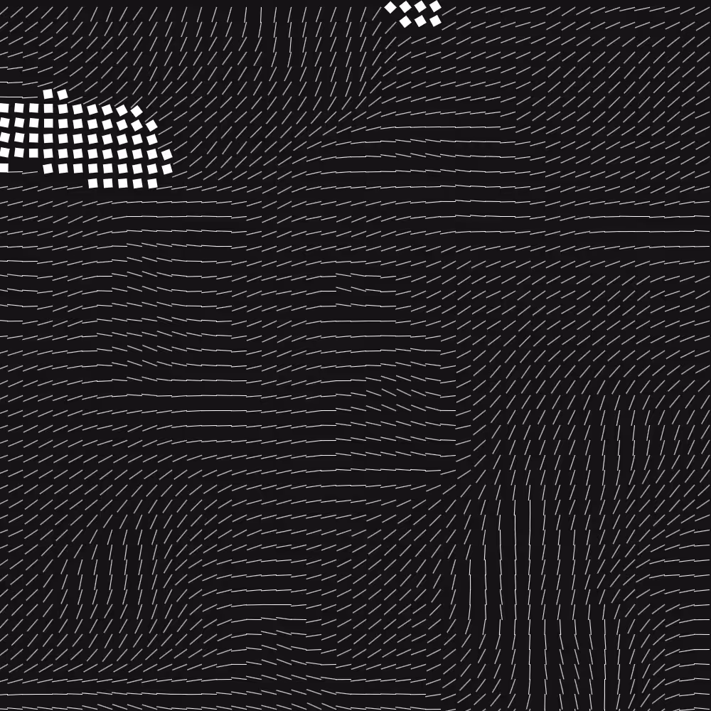 Geometric Fluidity #829
