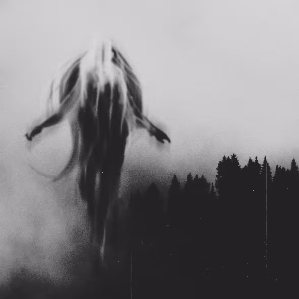 Ghost #24