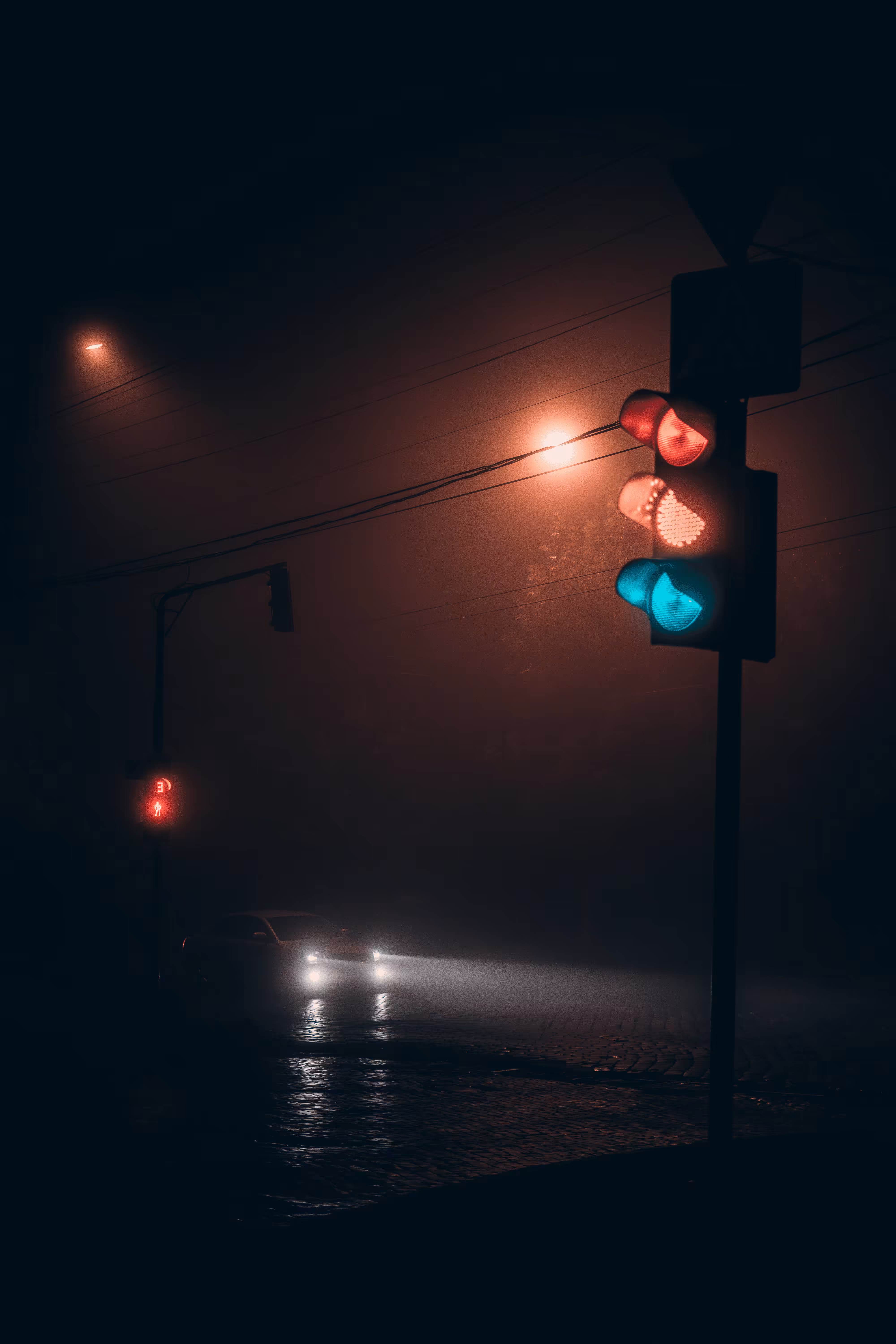 it Nyctophilia
