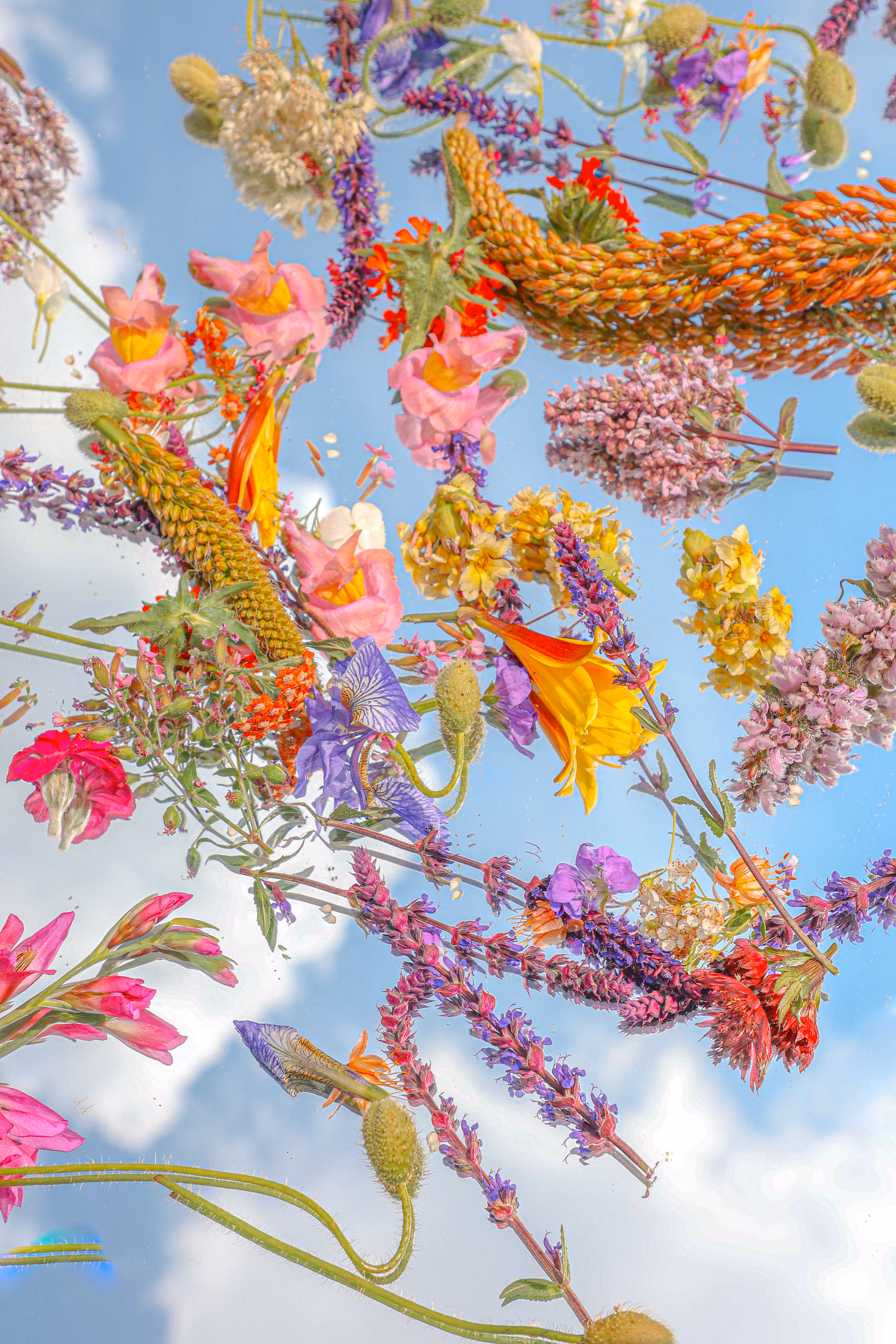 Floral Candy