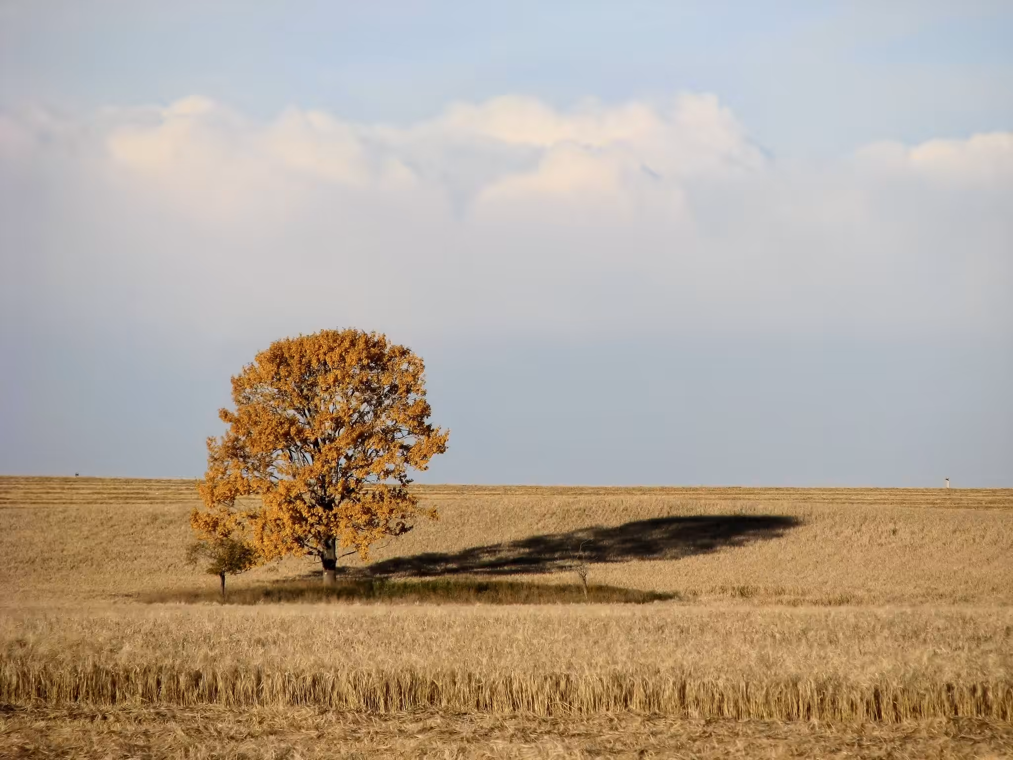 Autumn Solitude