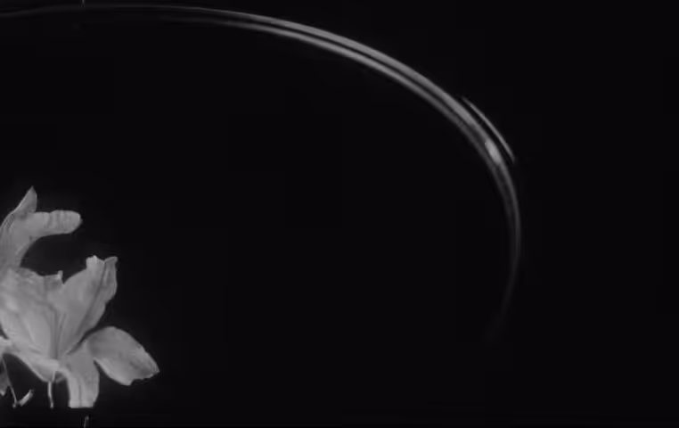 Portraits of Sound // #04 - Into The Mirror