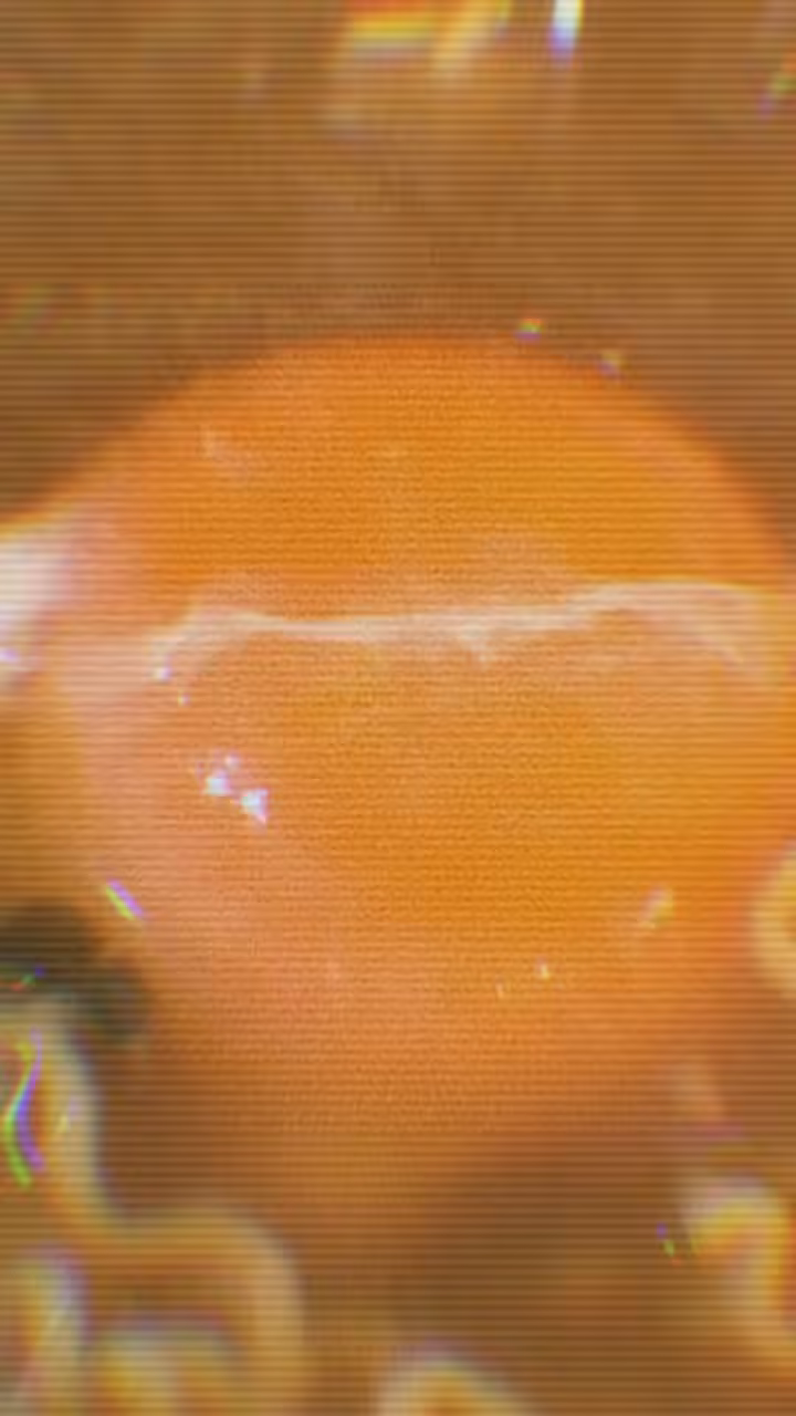 Egg
