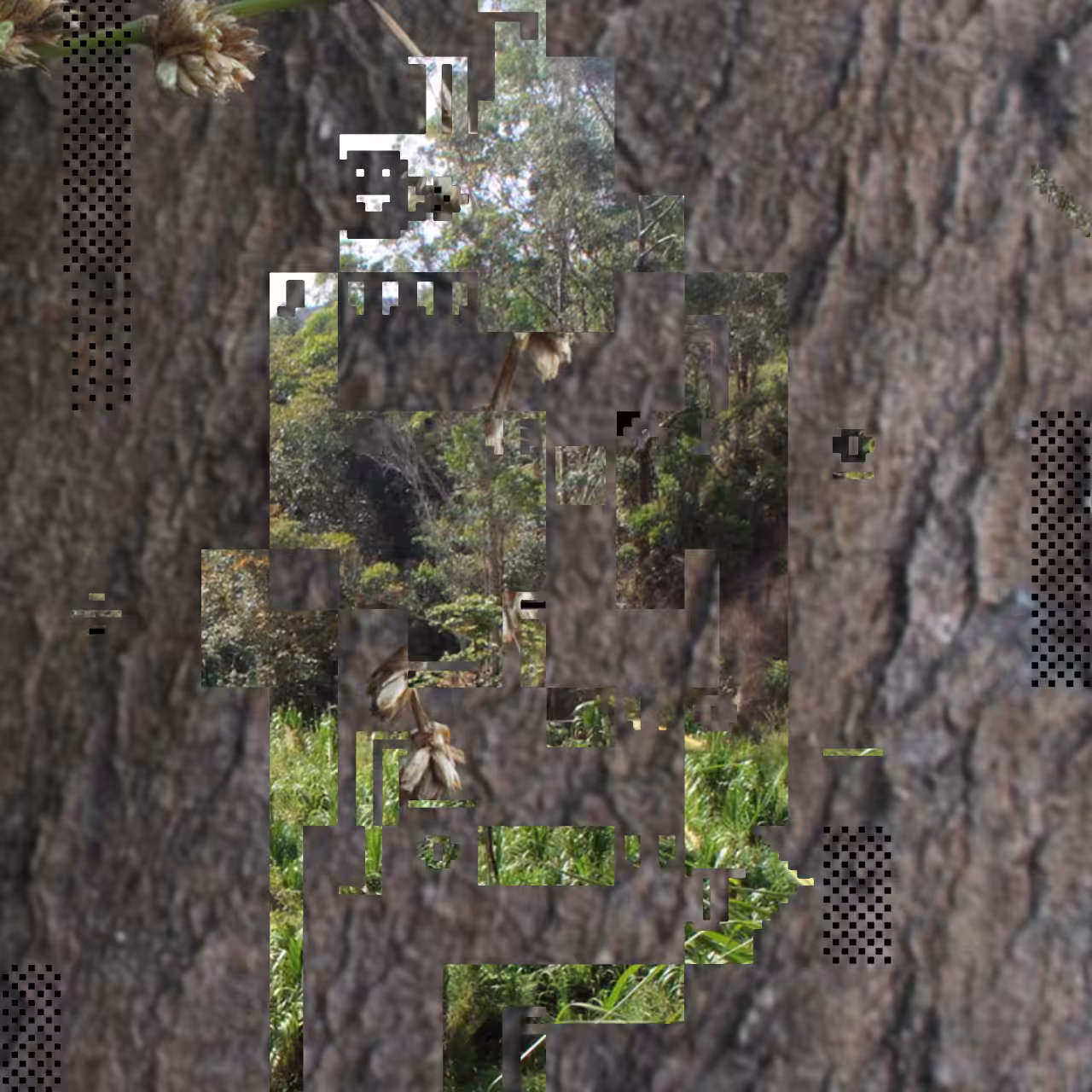 PhotoDOSpunk #43