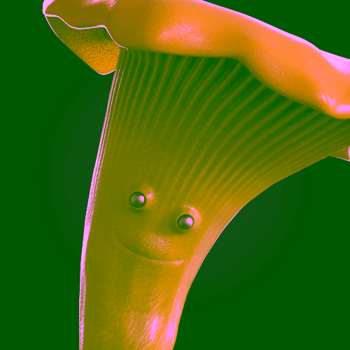 FUNGIBLE #0004