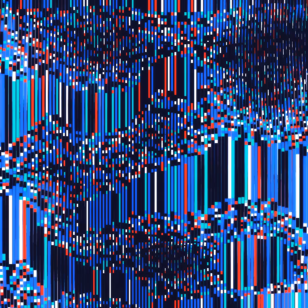Digital Rug IV