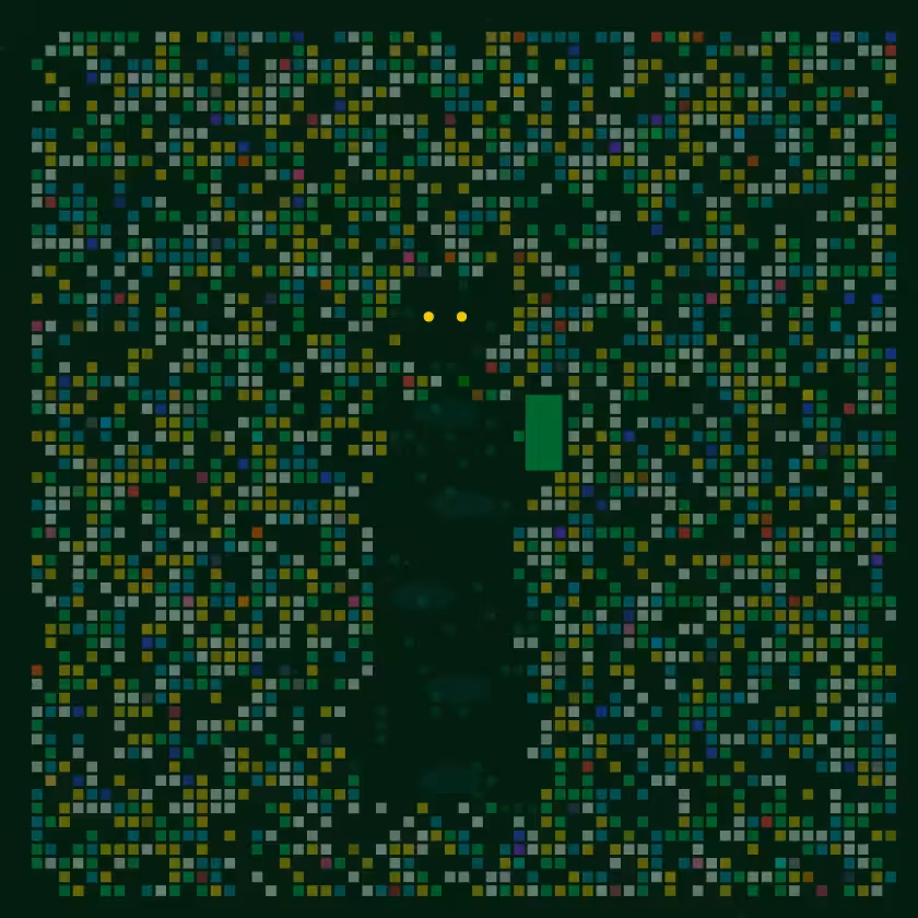 Project Robin #9024