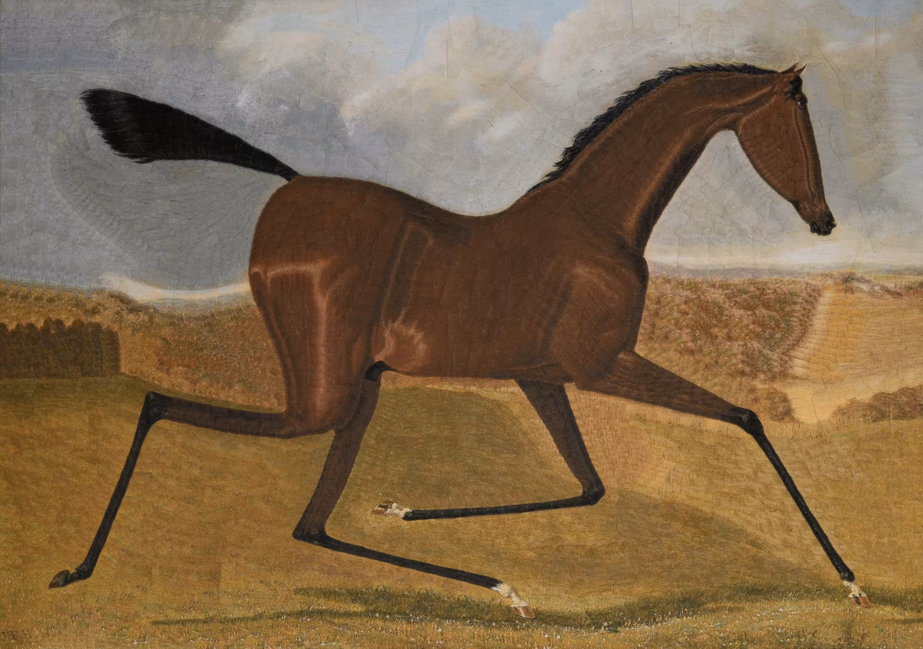 Trotting Bay after J.F Herring