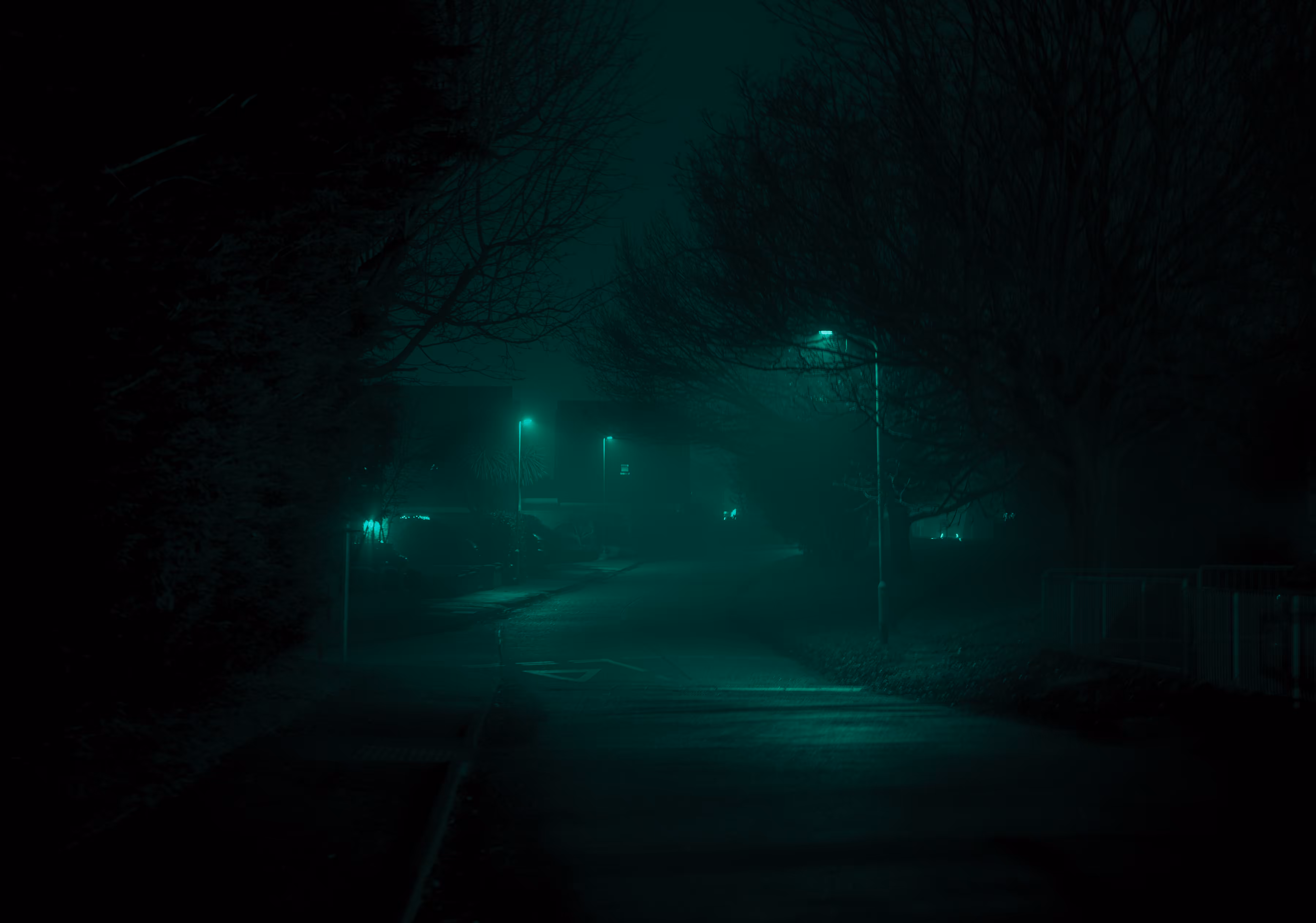 The night silence