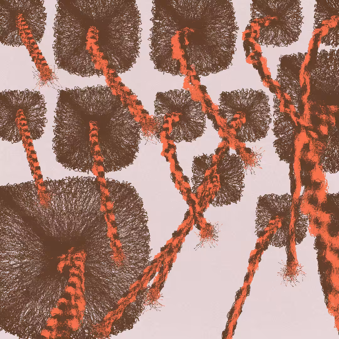 Beauty Supply Is Out of Du-Rags: A Personal Synthesis of Protection and Timeless Style #90