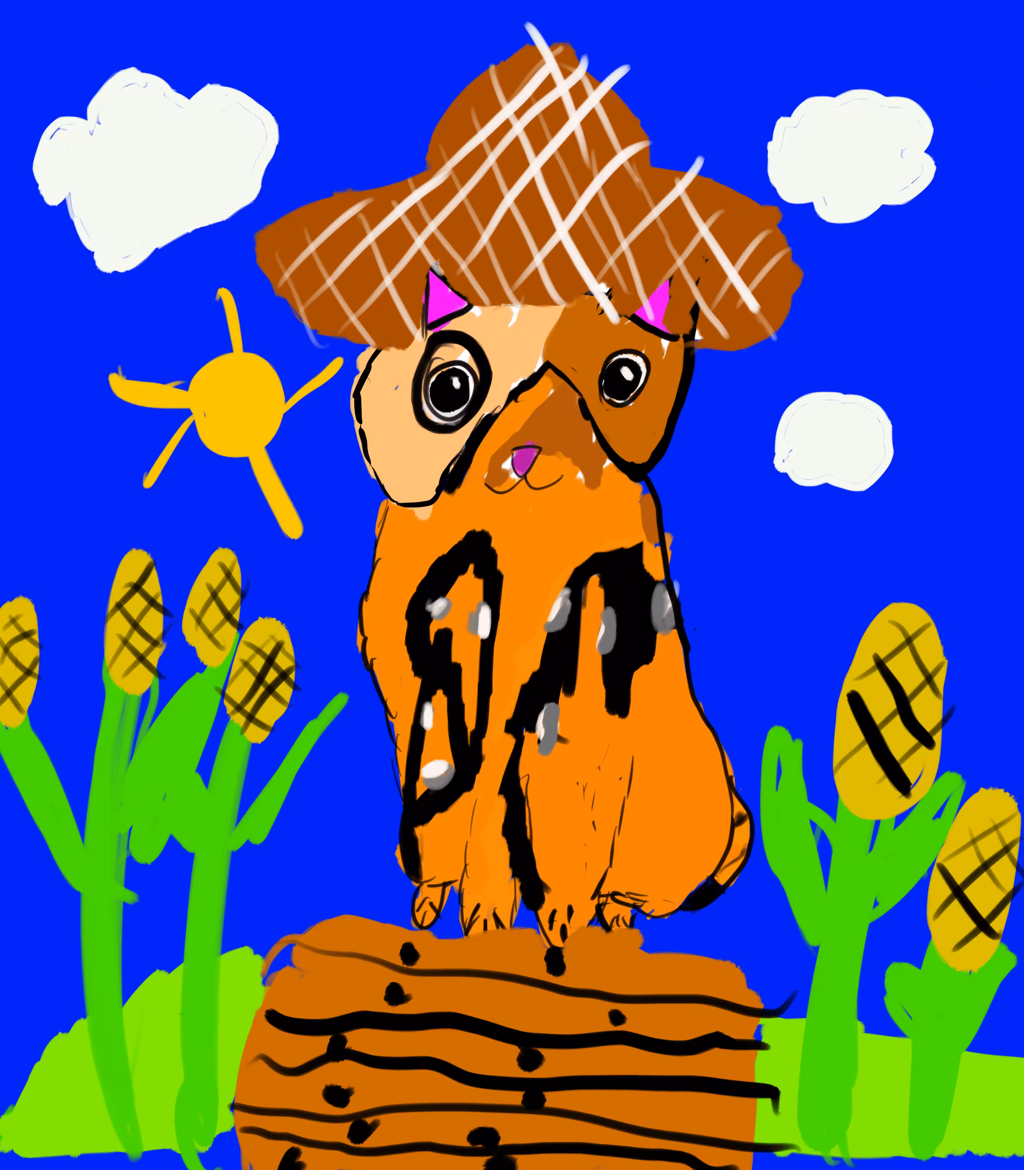 Farmer Cat