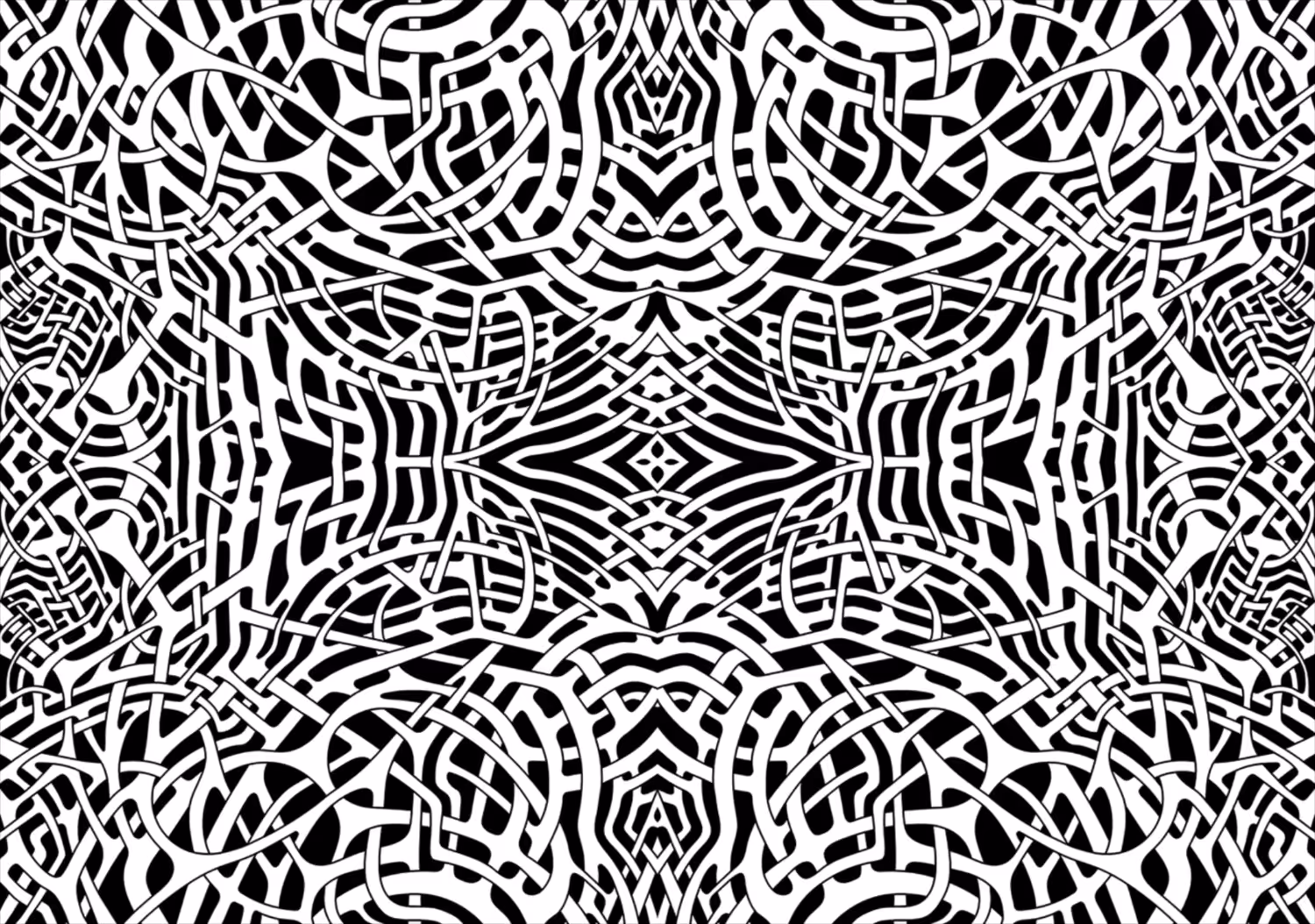 RHIZOME 01B