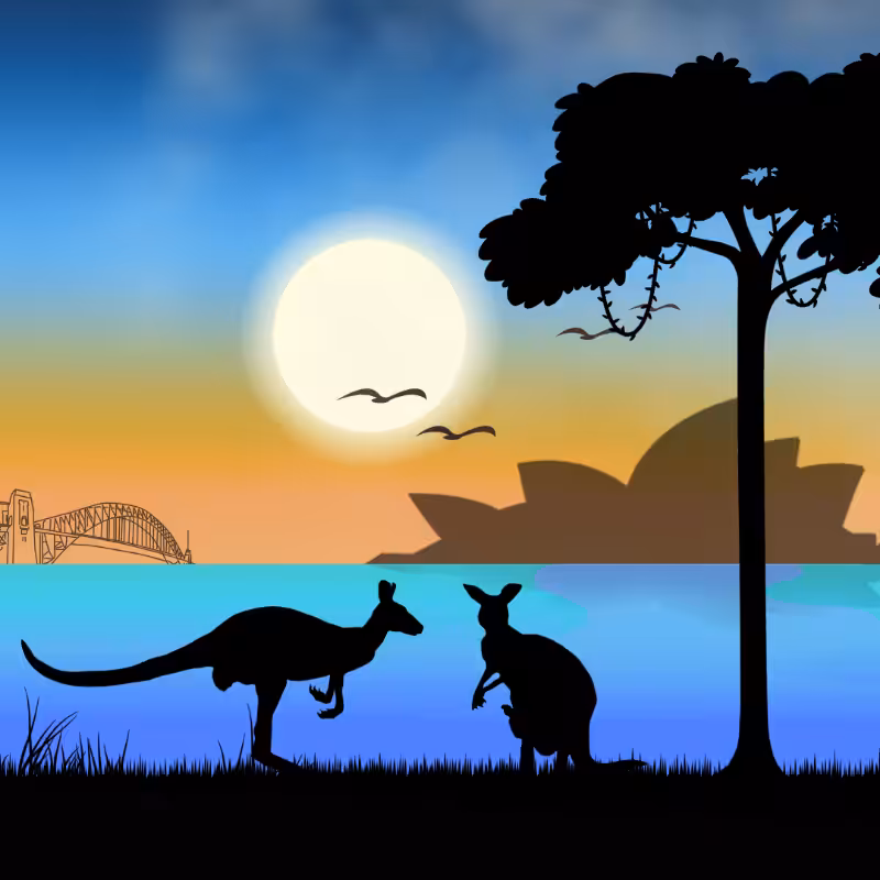 We Care...Kangaroo #5