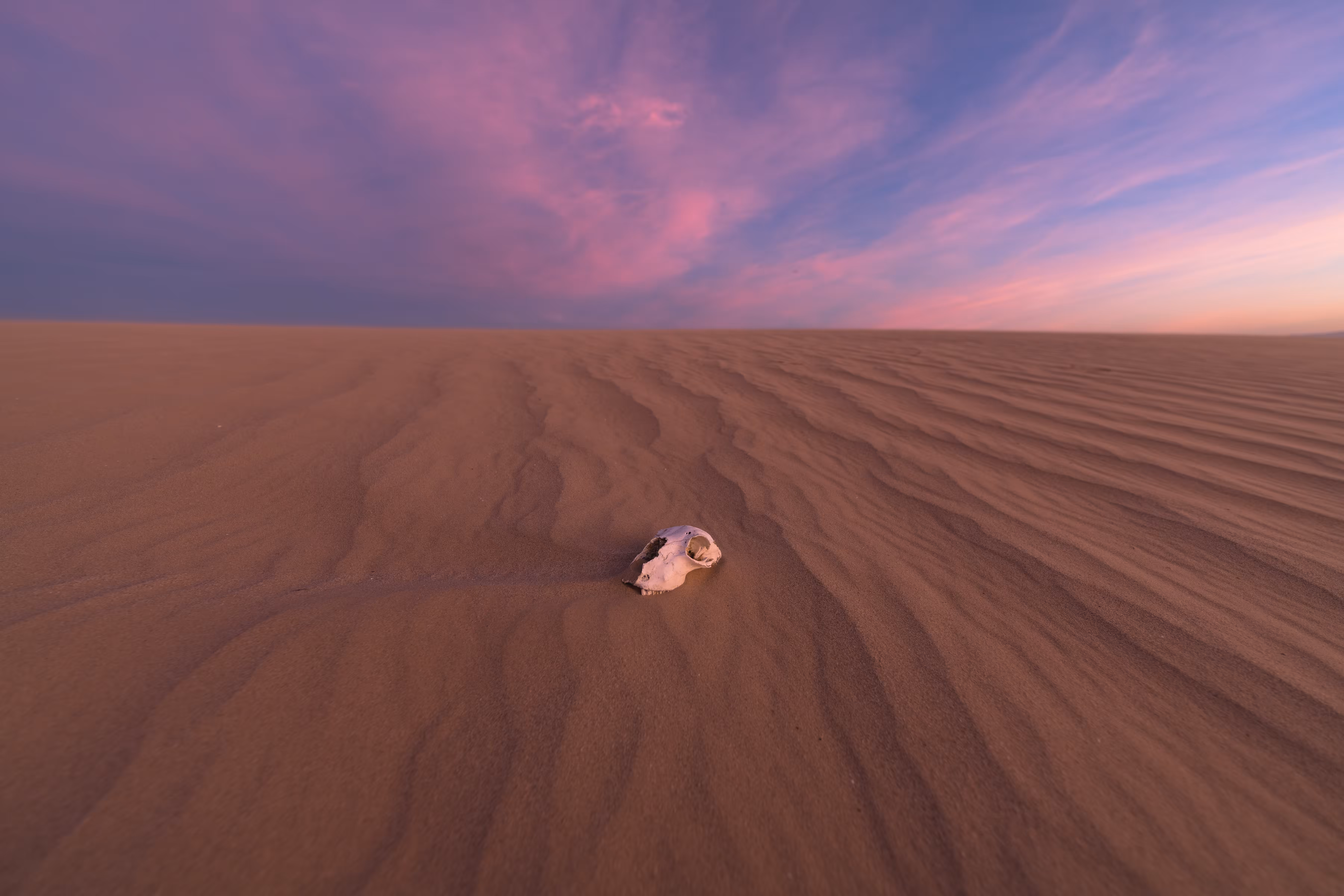 20200629 Sands of Time (skull t3), 14mm d850, 1030.NEF