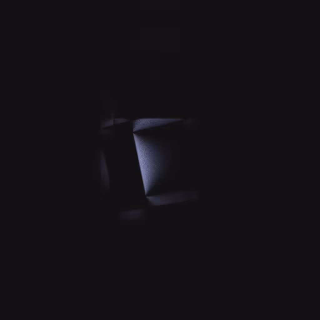 SHADOW PLAY