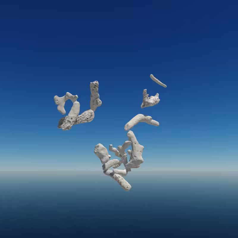 Bone Work (Gulf of Mexico) 2022 #19